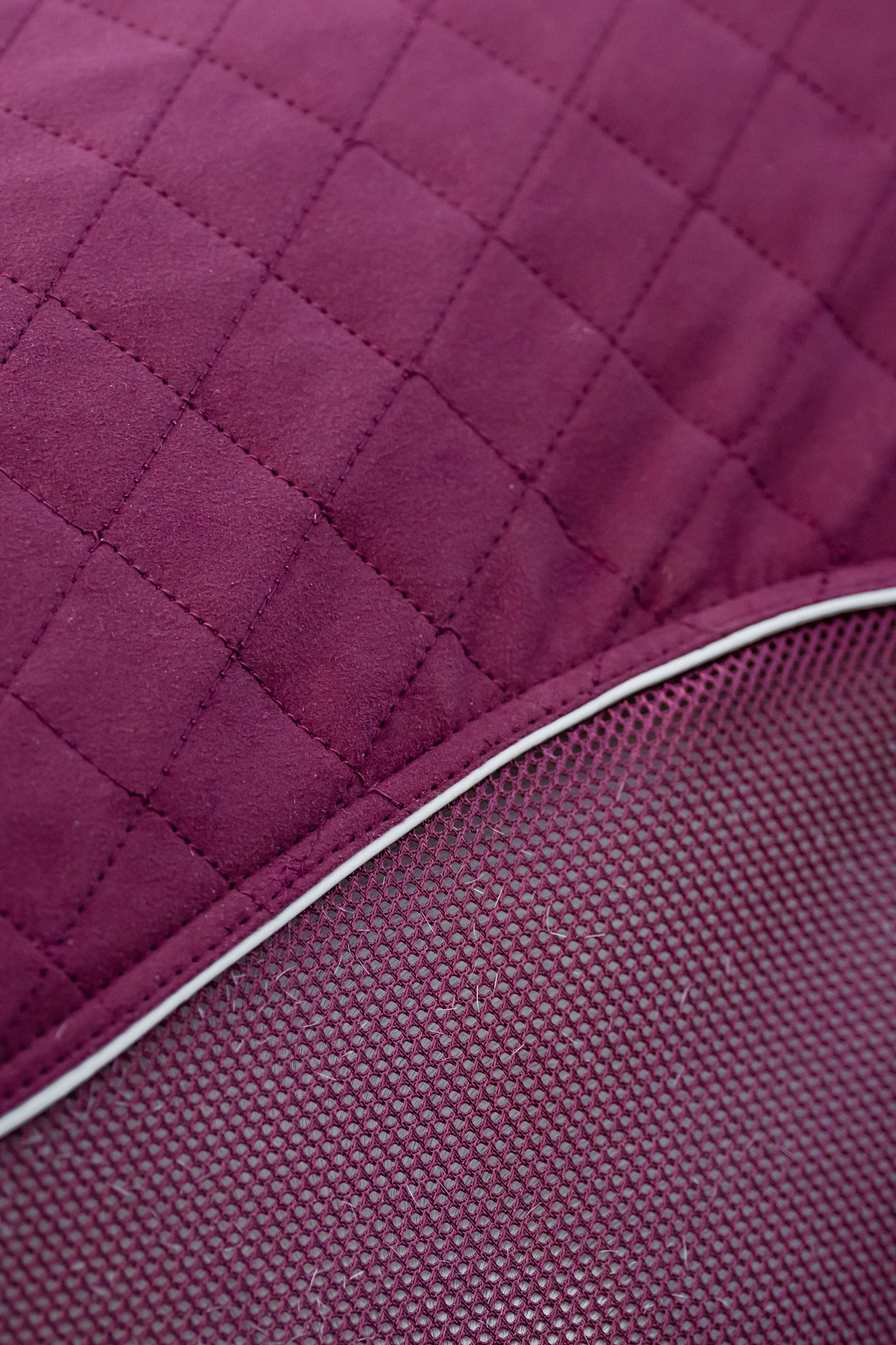 Horseware Signature Abschwitzdecke f&uuml;r den Transport