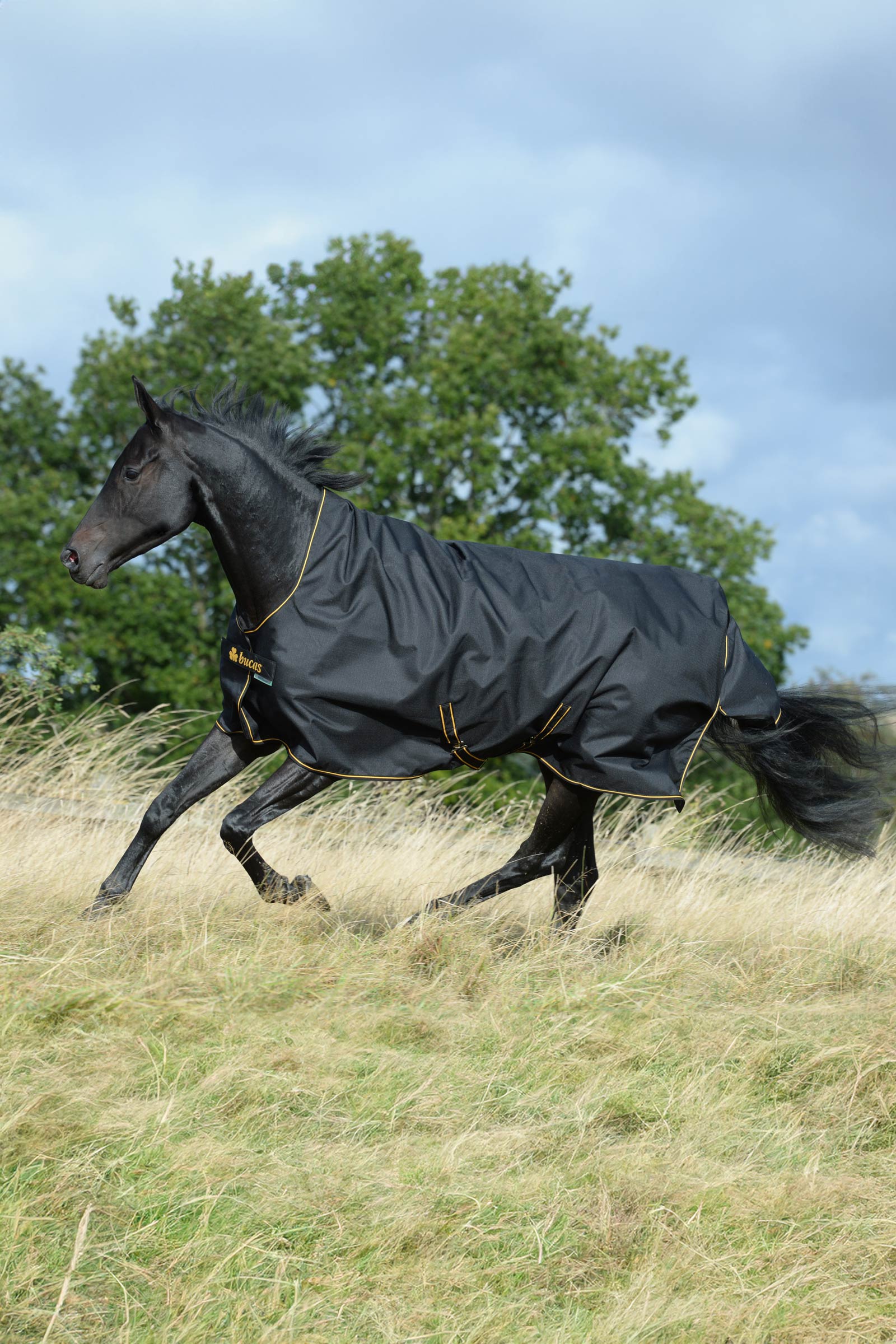 Bucas Irish Weidedecke mit hohem Hals, 50g