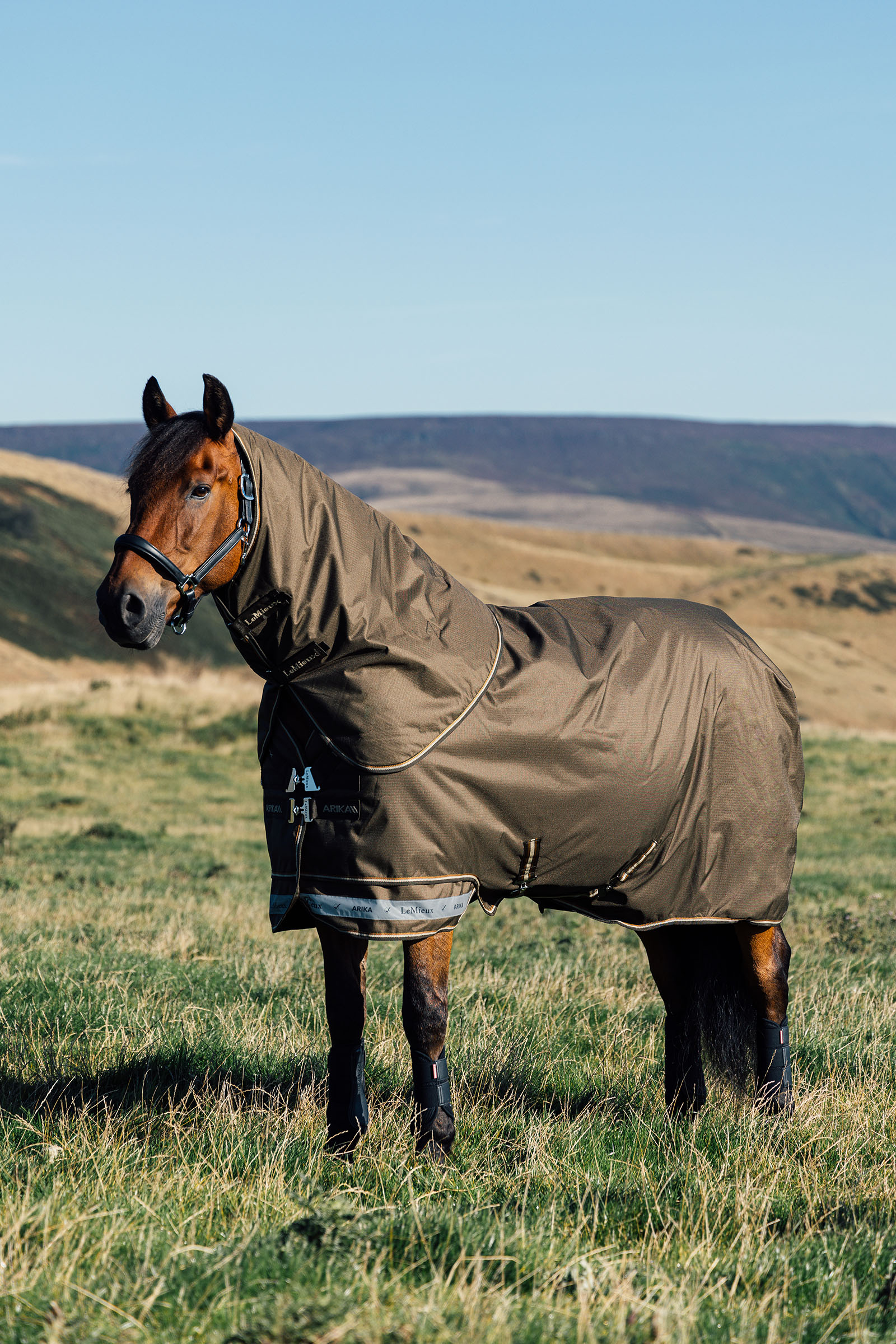 LeMieux Arika Ripstop Weidedecke mit abnehmbarem Halstseil, 200 g