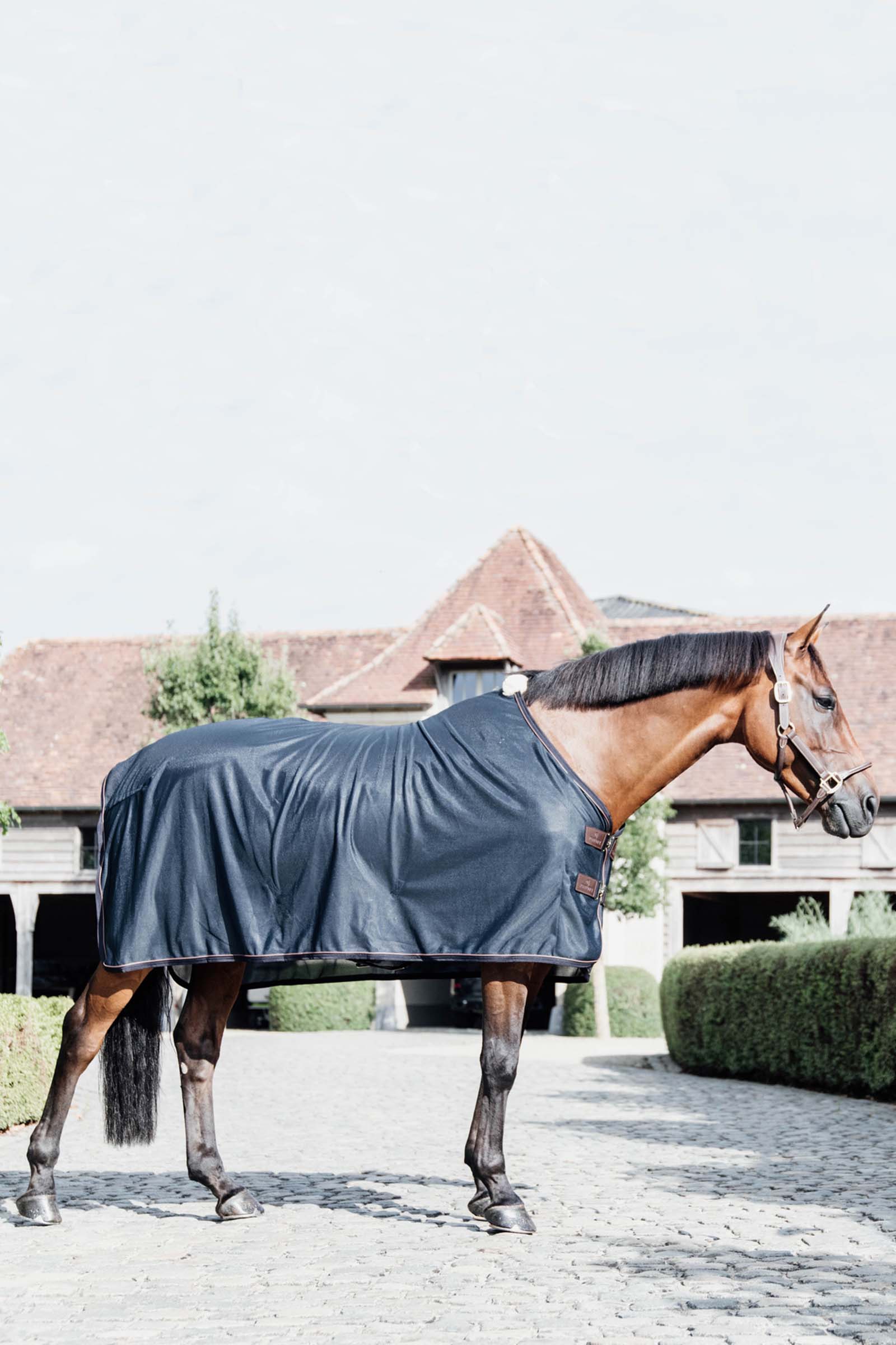 Kentucky Horsewear Mesh Fliegendecke