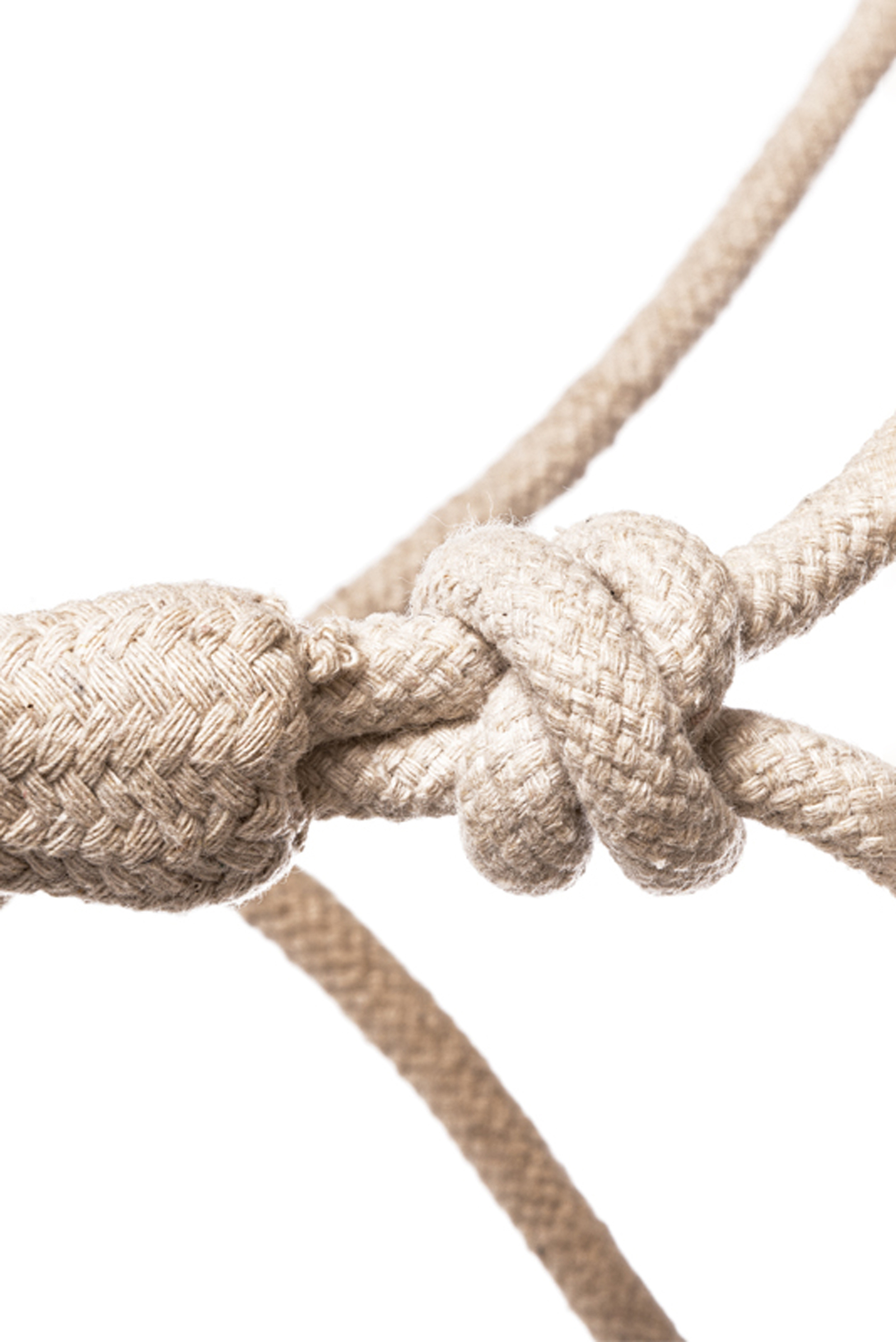 Kavalkade Knote Seilhalfter