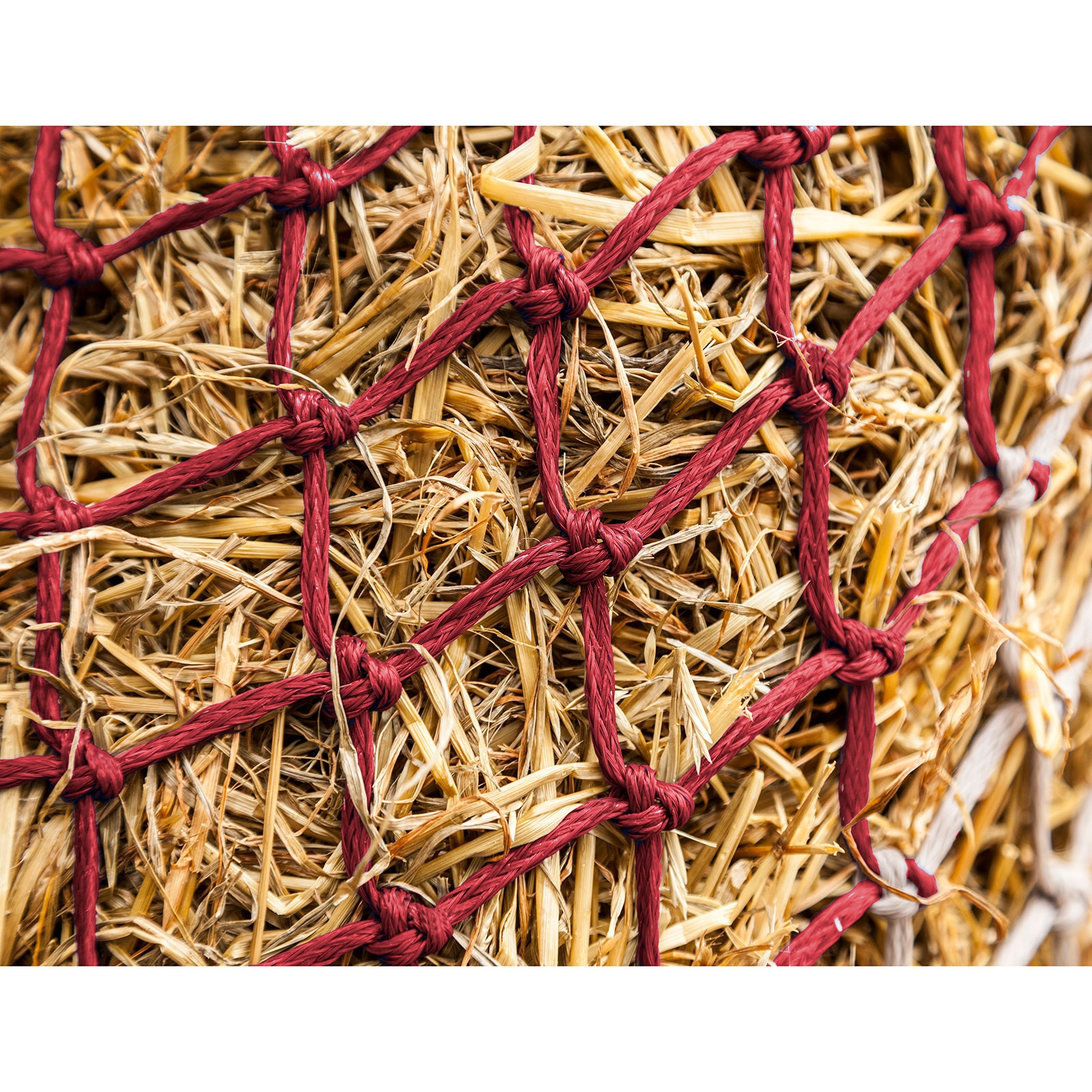 LeMieux Hippo Heunetz