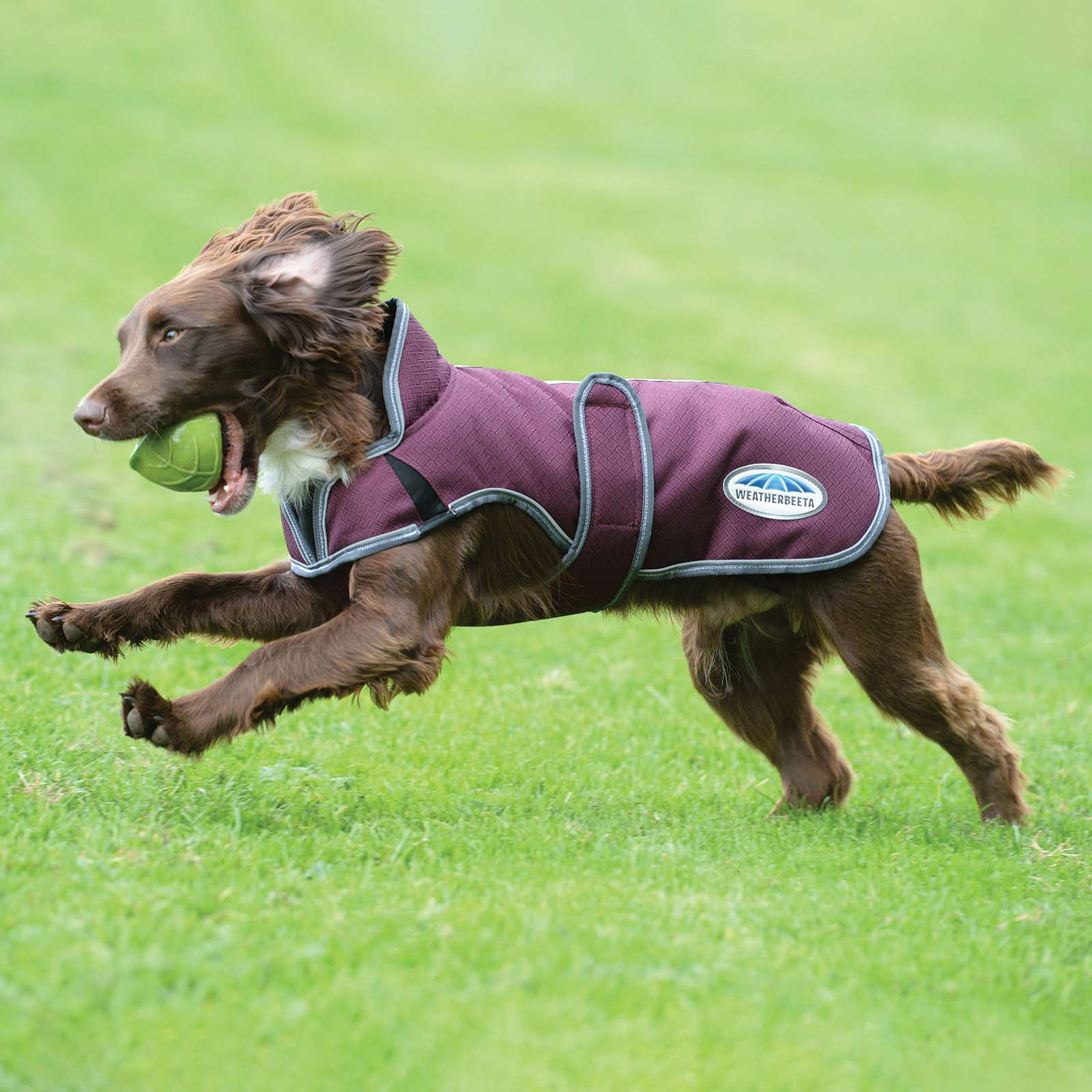 Weatherbeeta Comfitec Premier Free Parka Deluxe Hundemantel, 220g