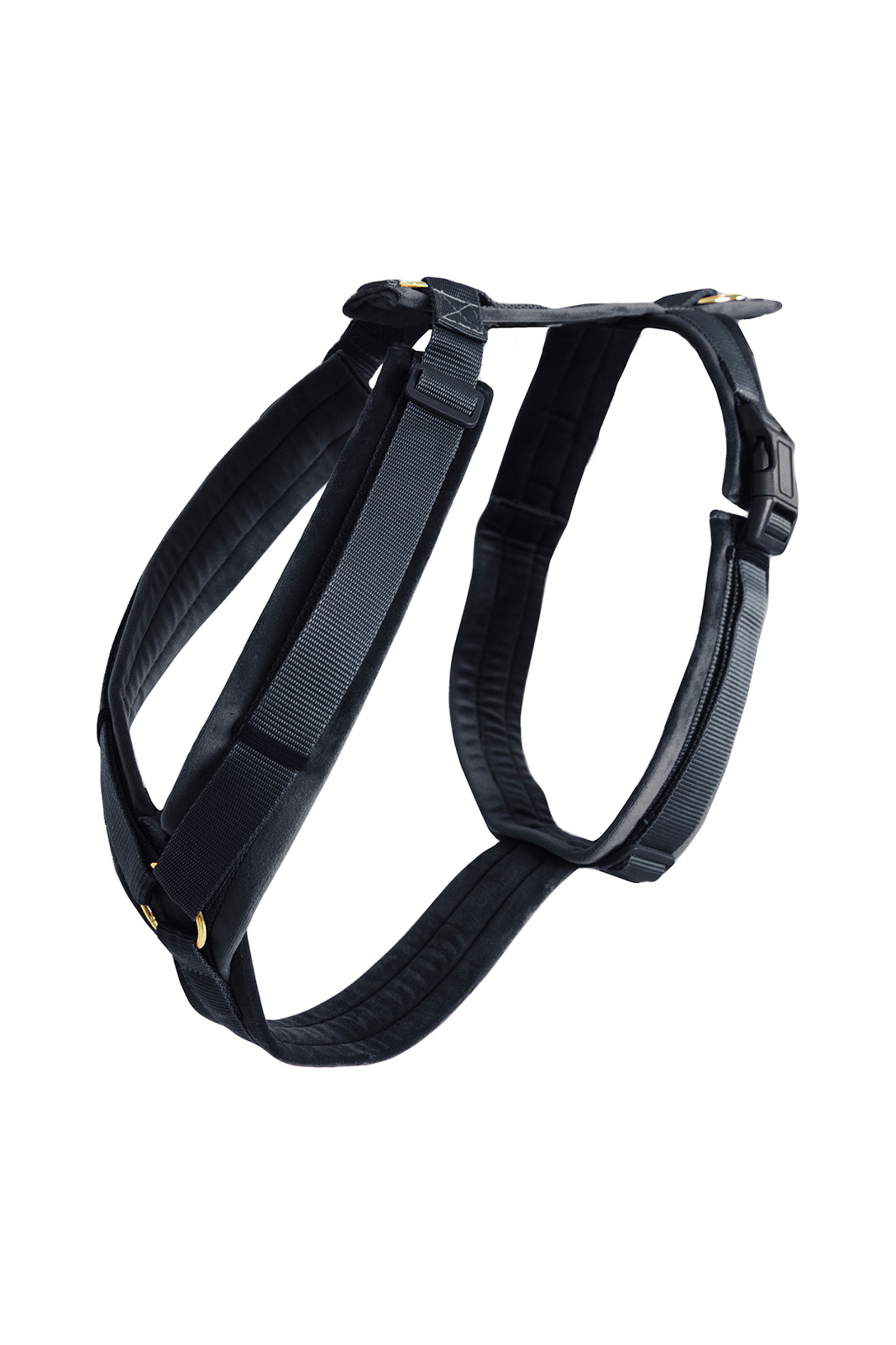 Black Kentucky Dogwear Active Velvet Hundegeschirr