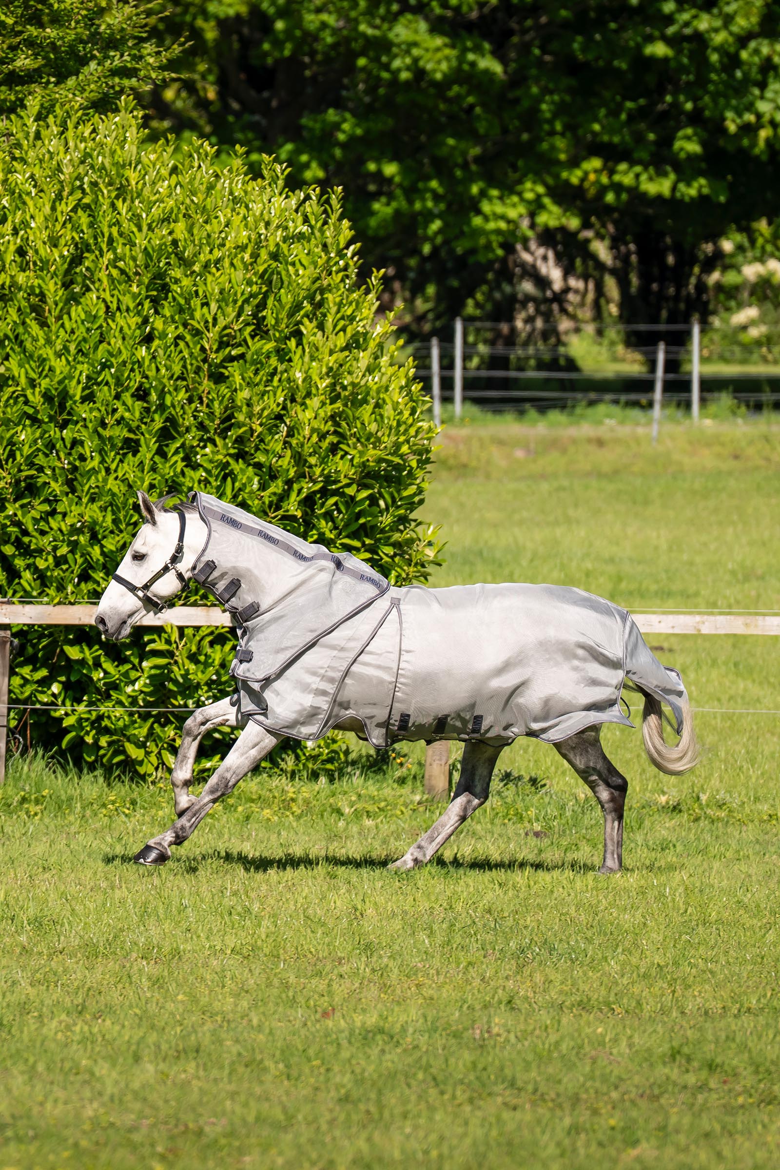 Horseware Rambo Optimo Protector Plus Weidedecke