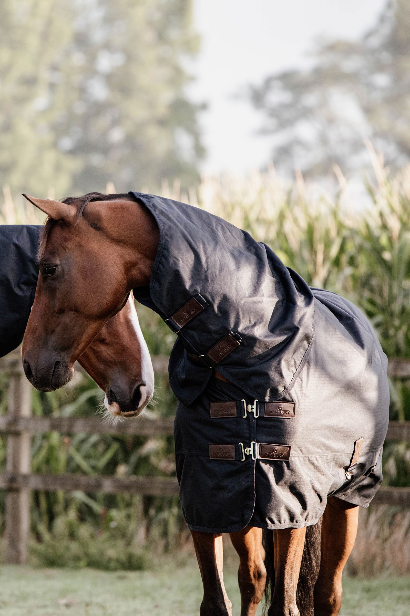 Kentucky Horsewear All Weather Waterproof Classic, Regendecke, 150g