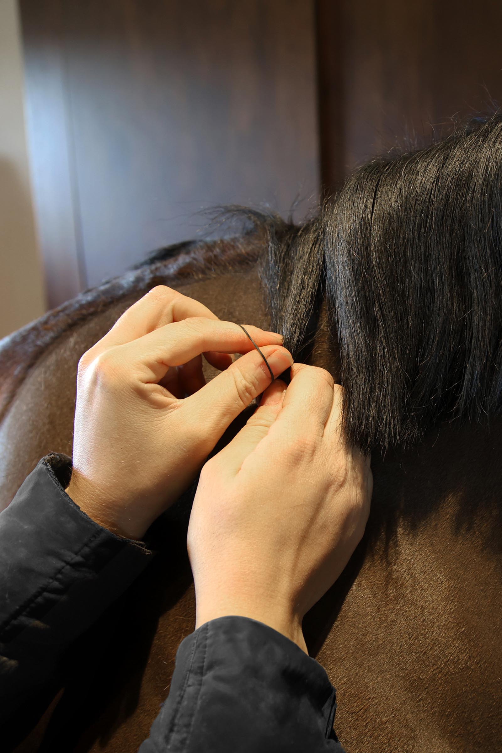 Grooming Deluxe M&auml;hnengummis (1500 St&uuml;ck)  