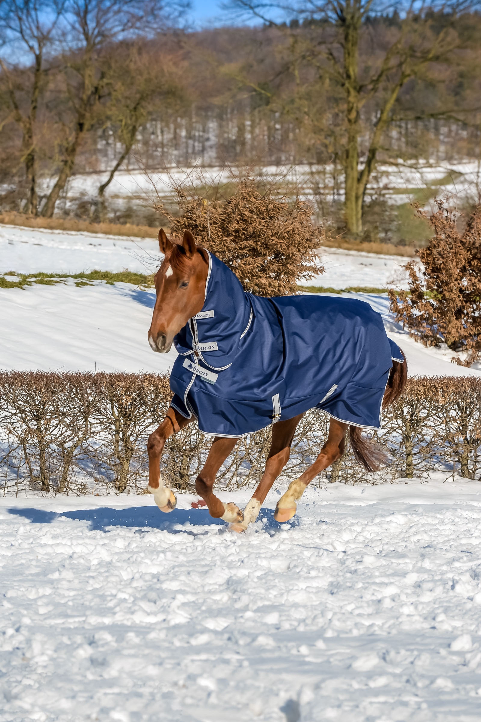 Bucas Freedom Pony Weidedecke mit festem Halsteil (150g / 150g)