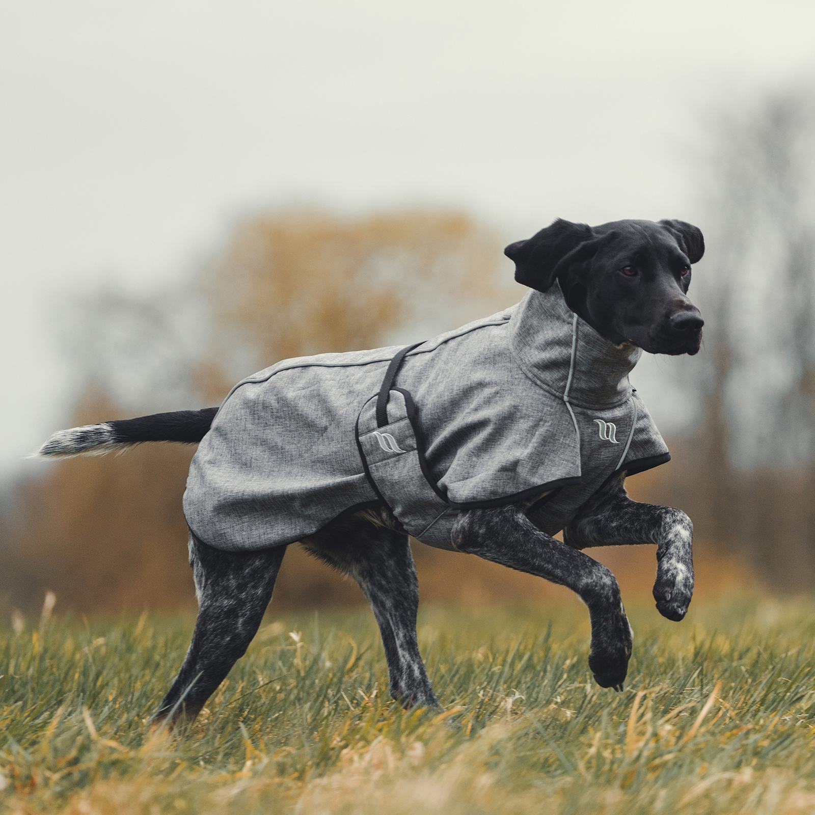 Back on Track Nella All-Round Hundemantel, 25-35cm