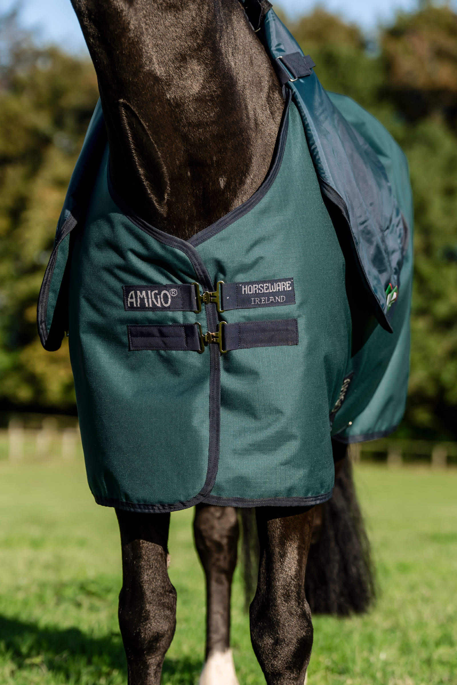 Horseware Amigo Ripstop 900D Plus Outdoordecke für Ponys, 50 g