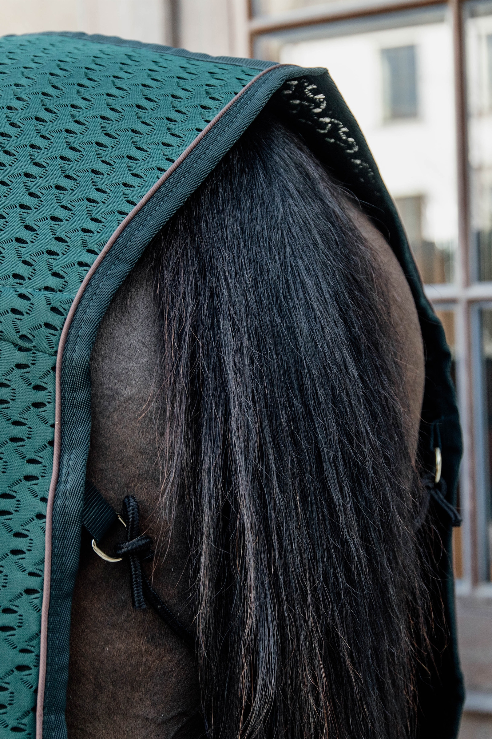 Kentucky Horsewear 4D Spacer Abschwitzdecke