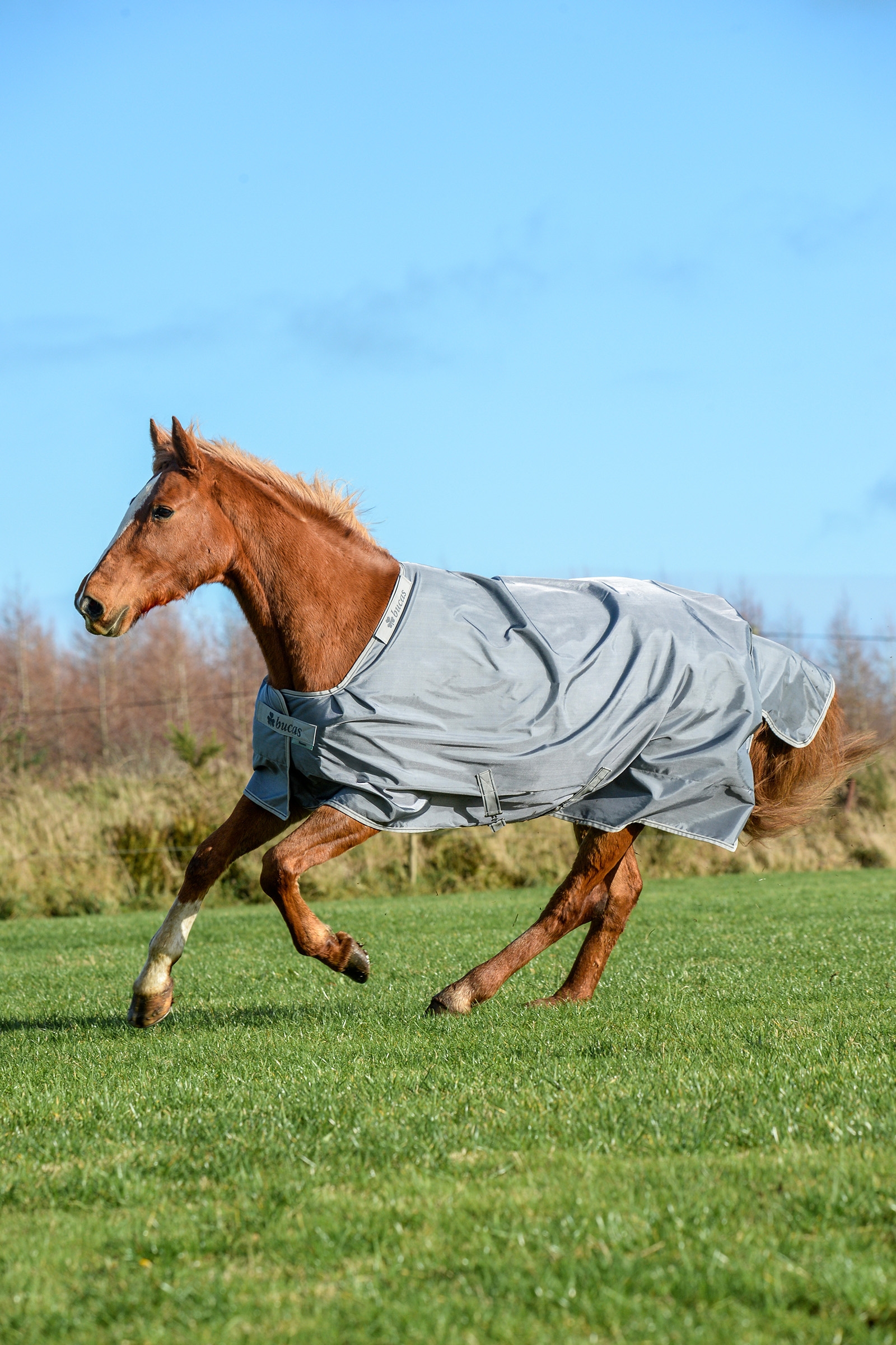 Iron Grey Bucas Smartex Extra Decke, 300g