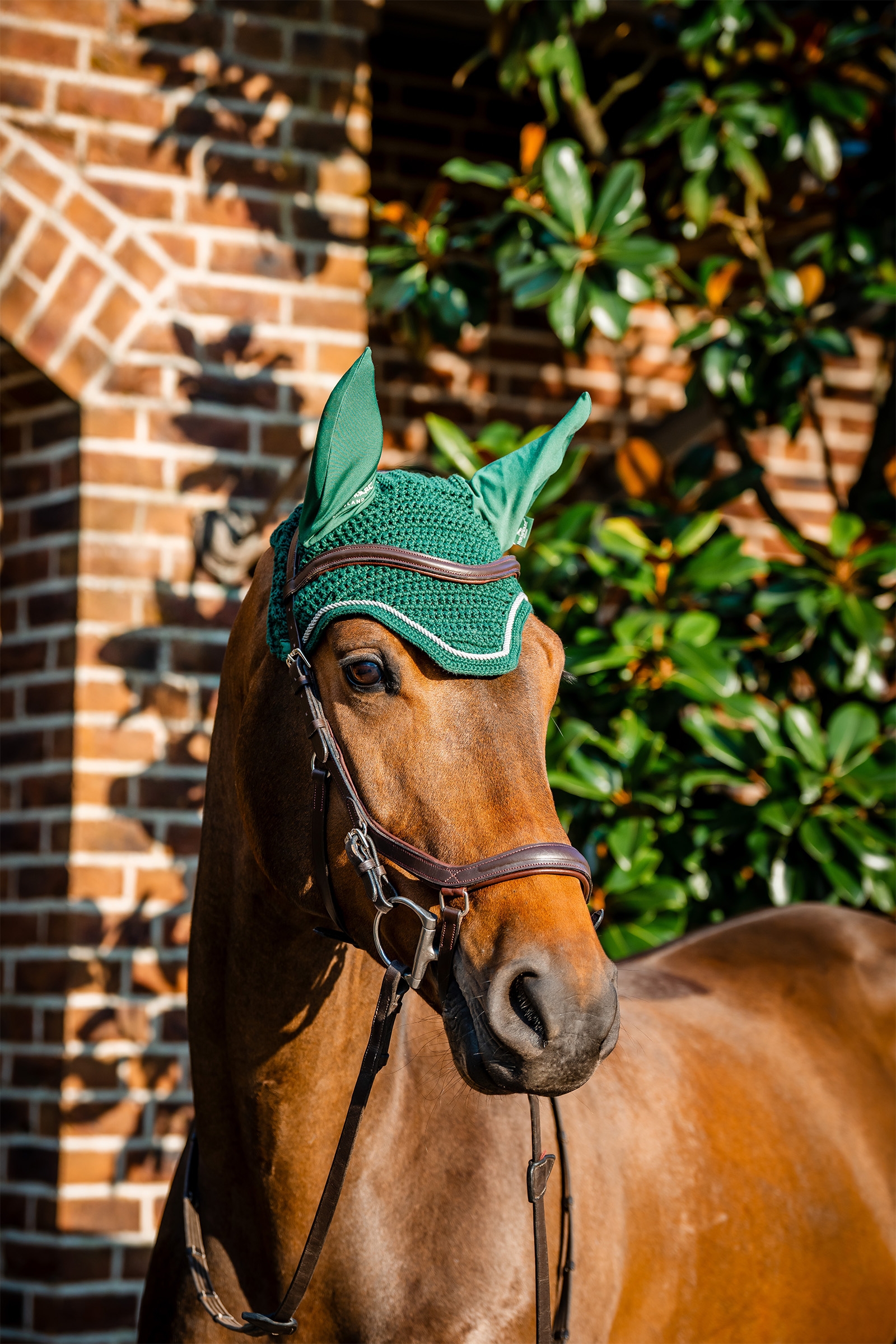 Hunter Green Horseware Signature Fliegenhaube
