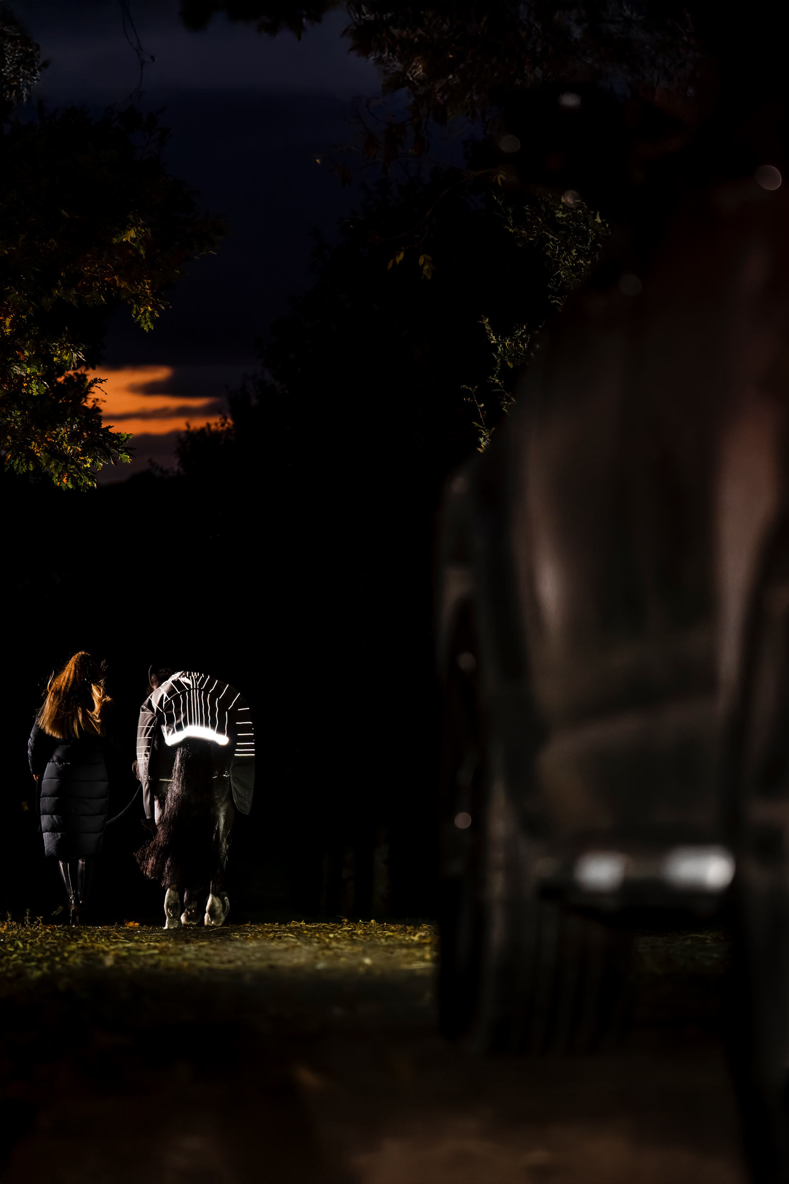 Horseware Amigo 1200D FieldSafe Reflectech Plus Outdoordecke, 250 g