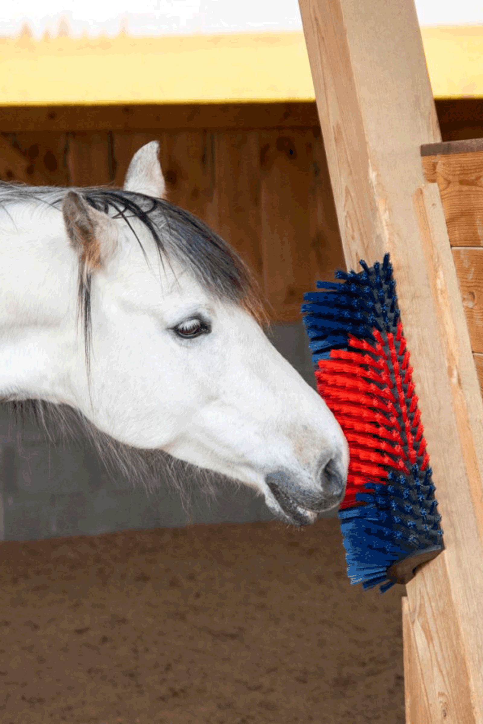 Kerbl XL Kratzbürste, rund