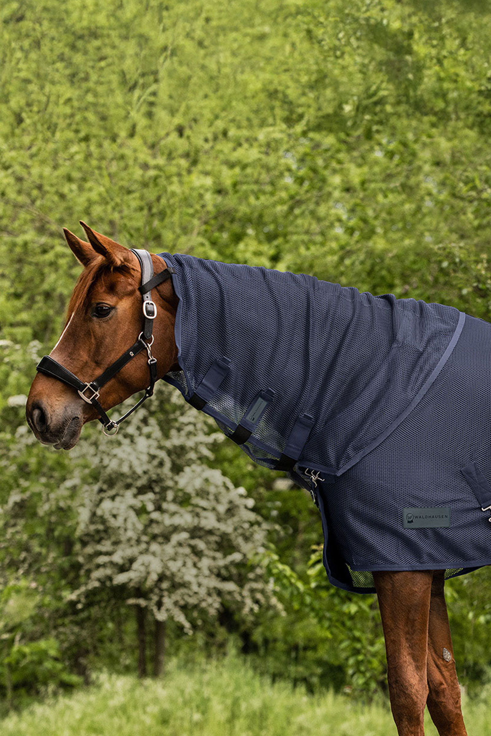 Night Blue Waldhausen Comfort Fliegenhalsteil
