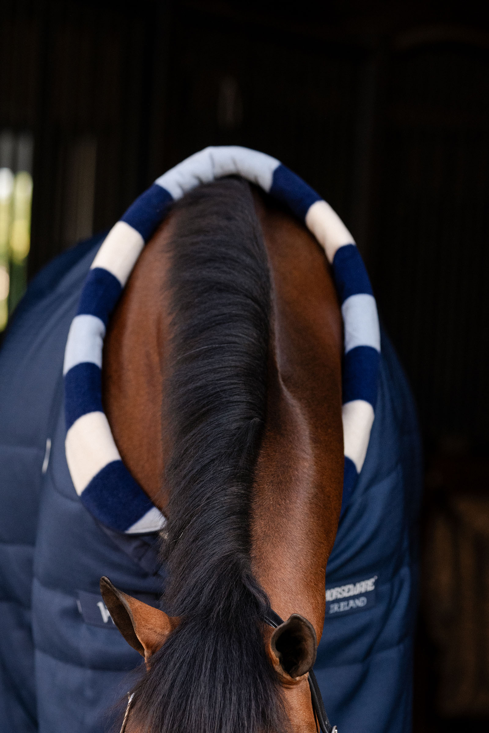 Horseware Newmarket Cosy Stalldecke 100g