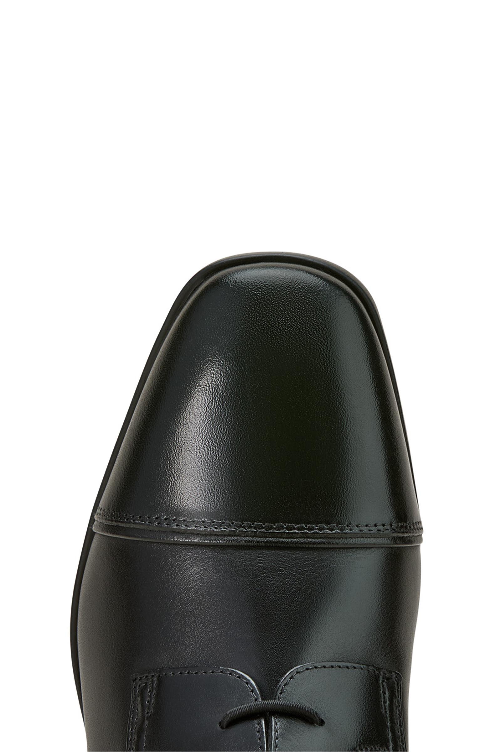 Ariat Palisade Damen Reitstiefel