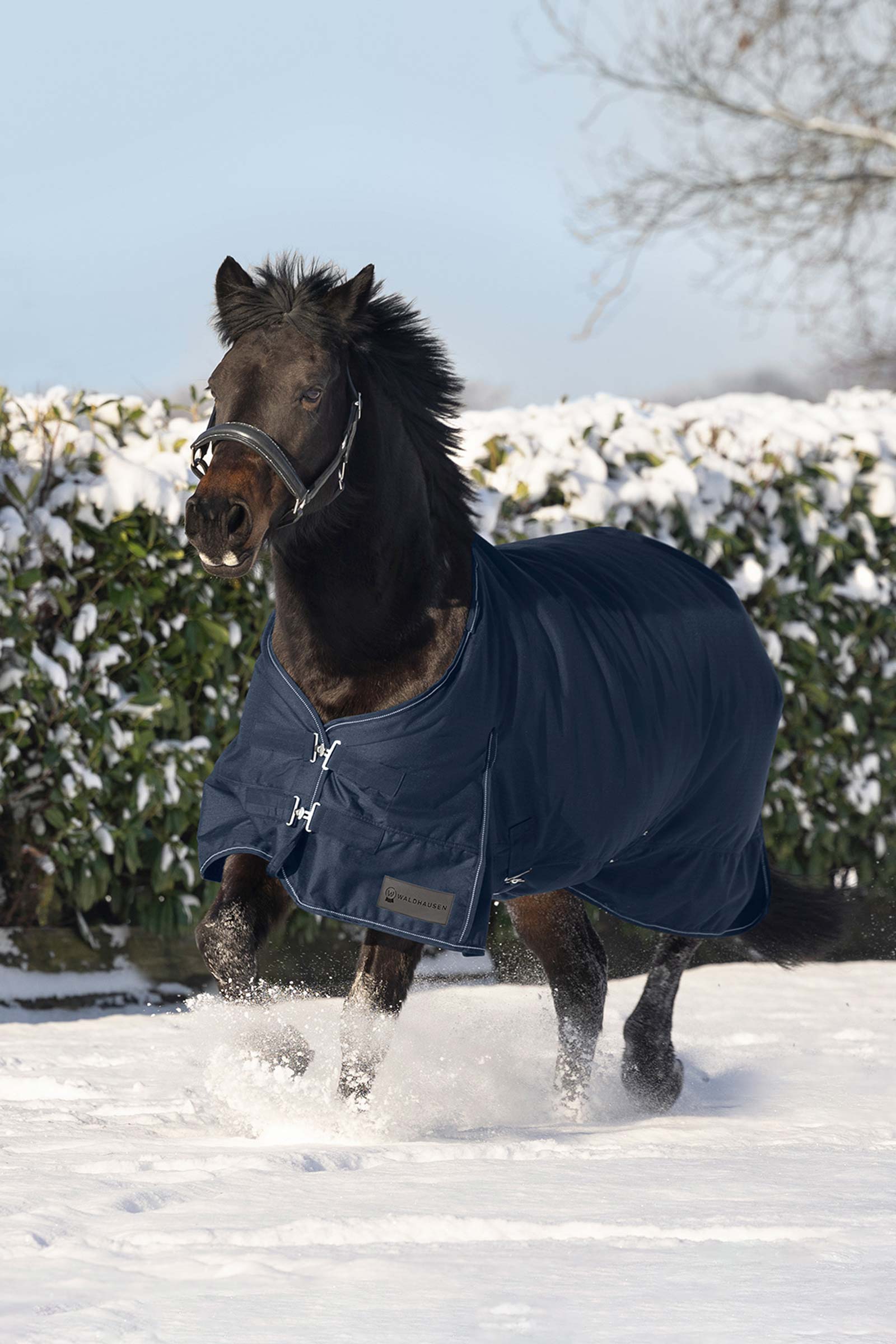 Waldhausen Nordic Weidedecke, 200 g