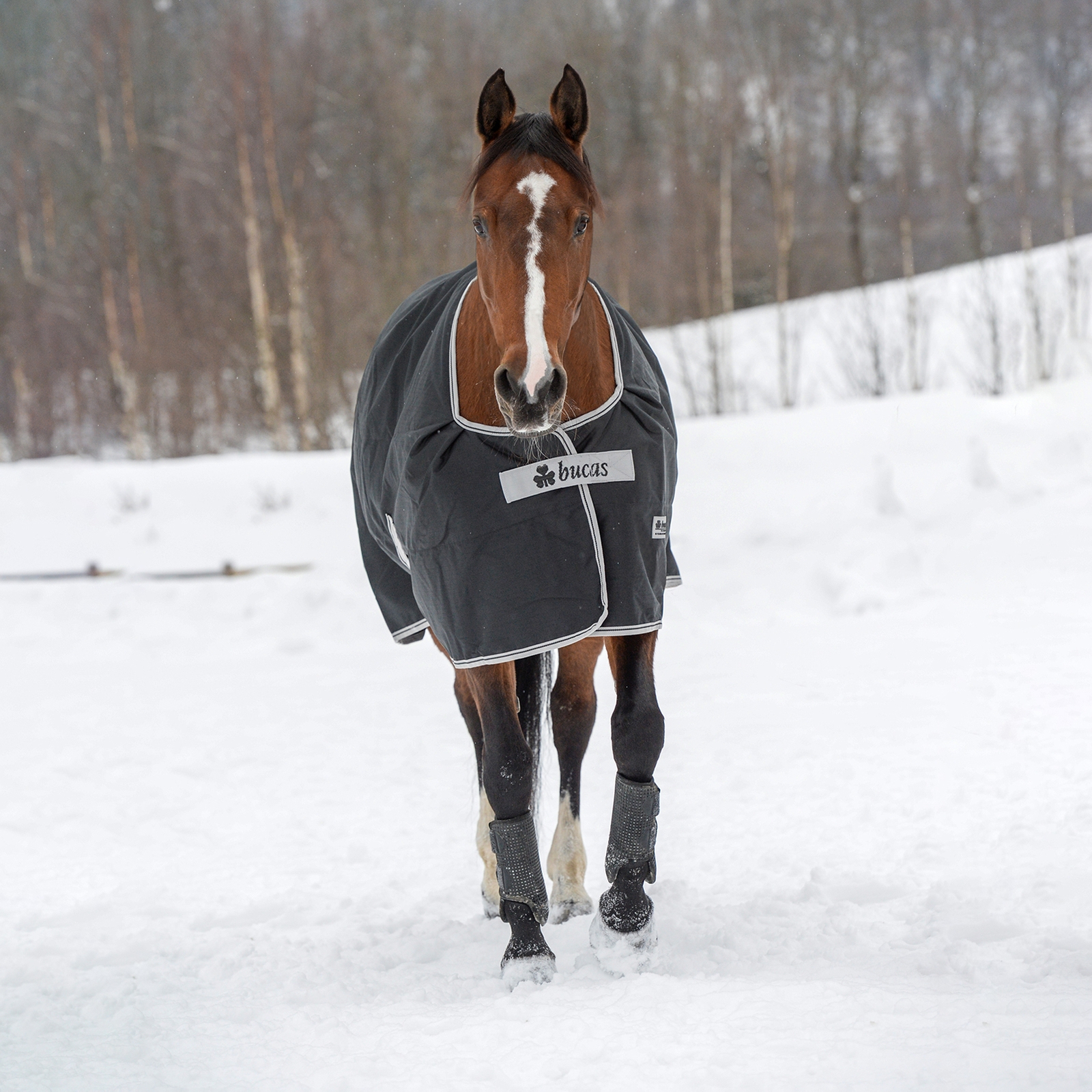 Bucas Anniversary Light SD Turnout Regendecke, 150g