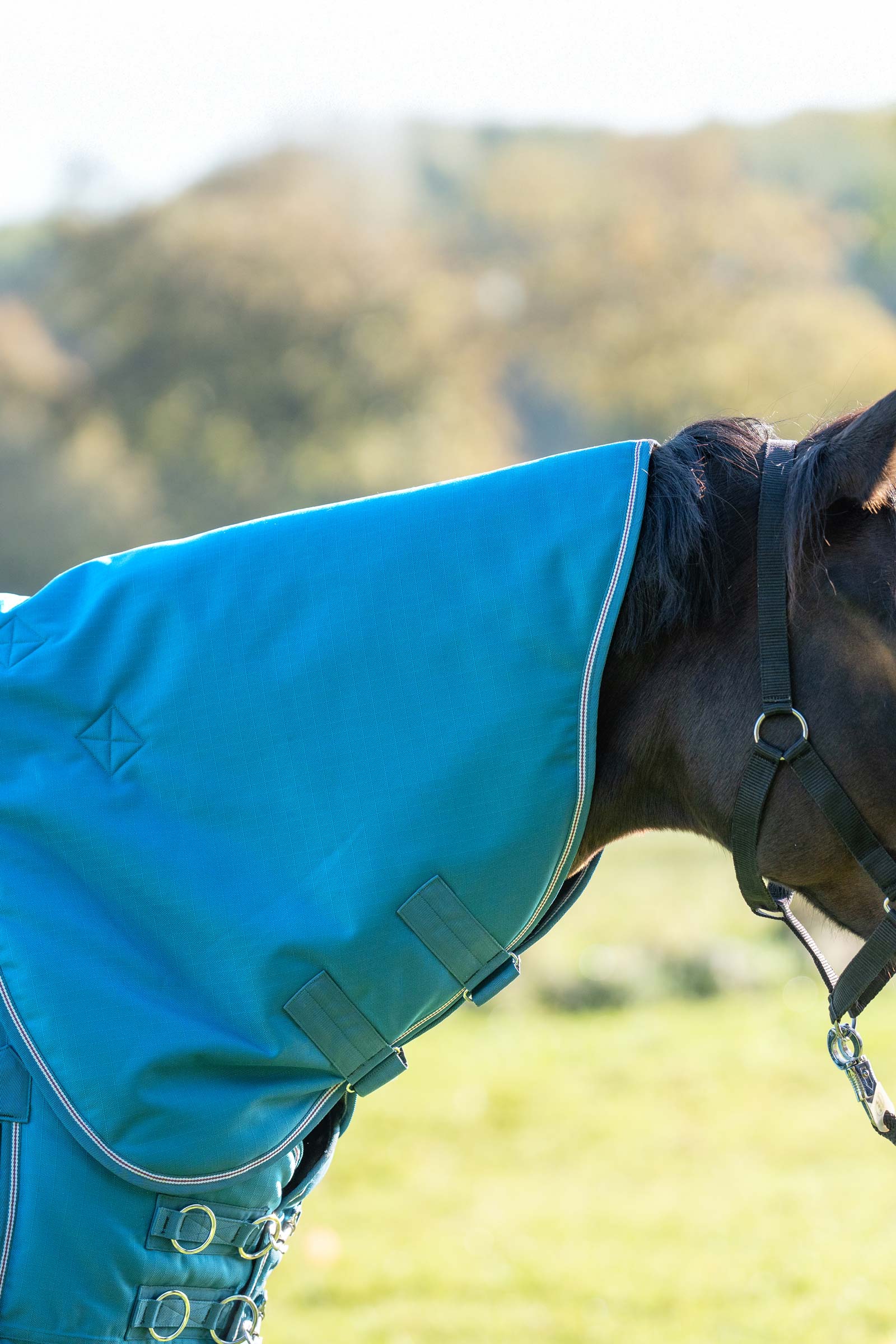 Petrol/Petrol-Bordeaux-White Kavalkade Halsteil für Alaska IV, 100 g