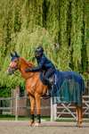 Horseware Signature Sport Abschwitzdecke