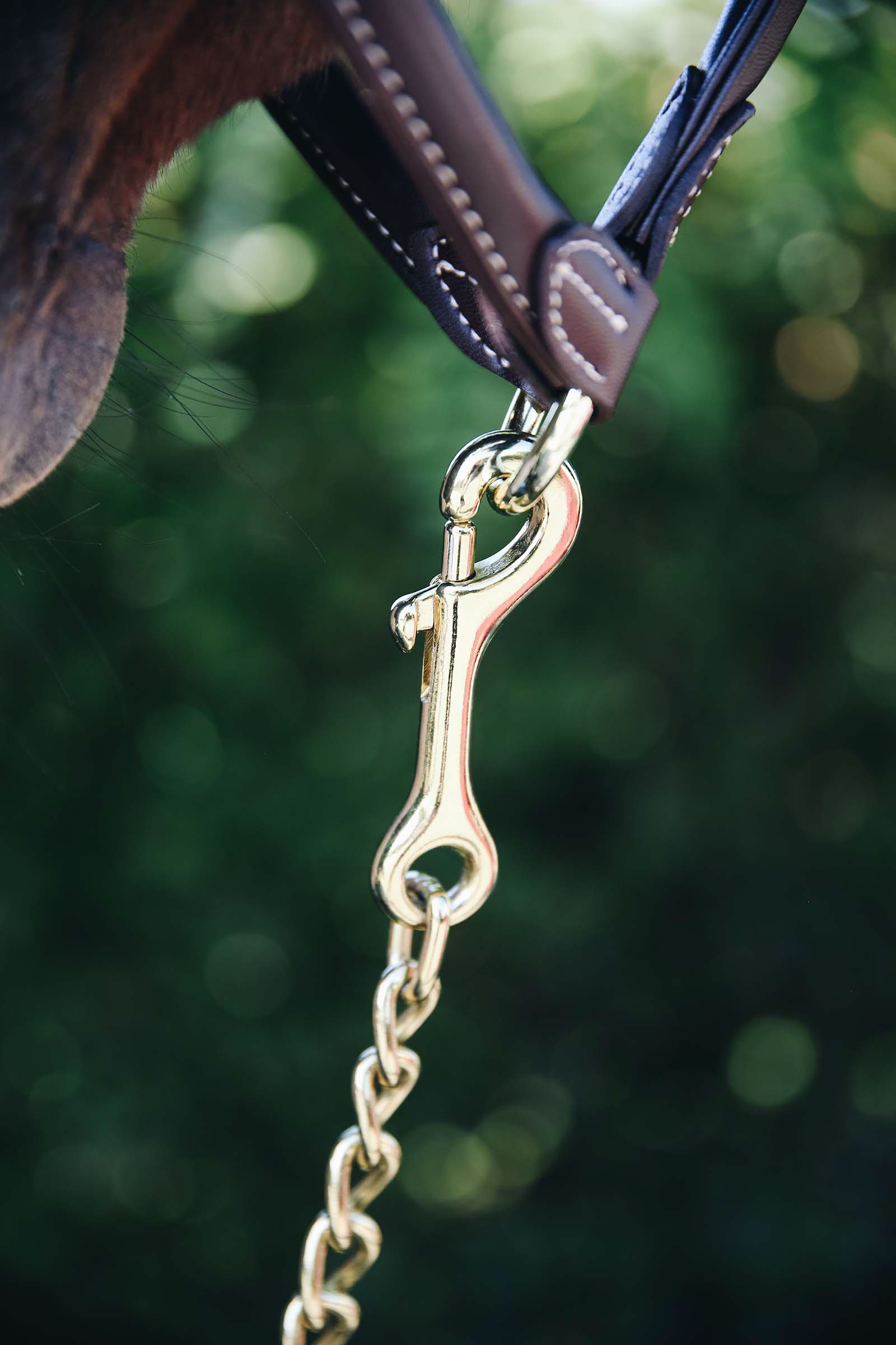 Kentucky Horsewear Hengstkette 60 Cm