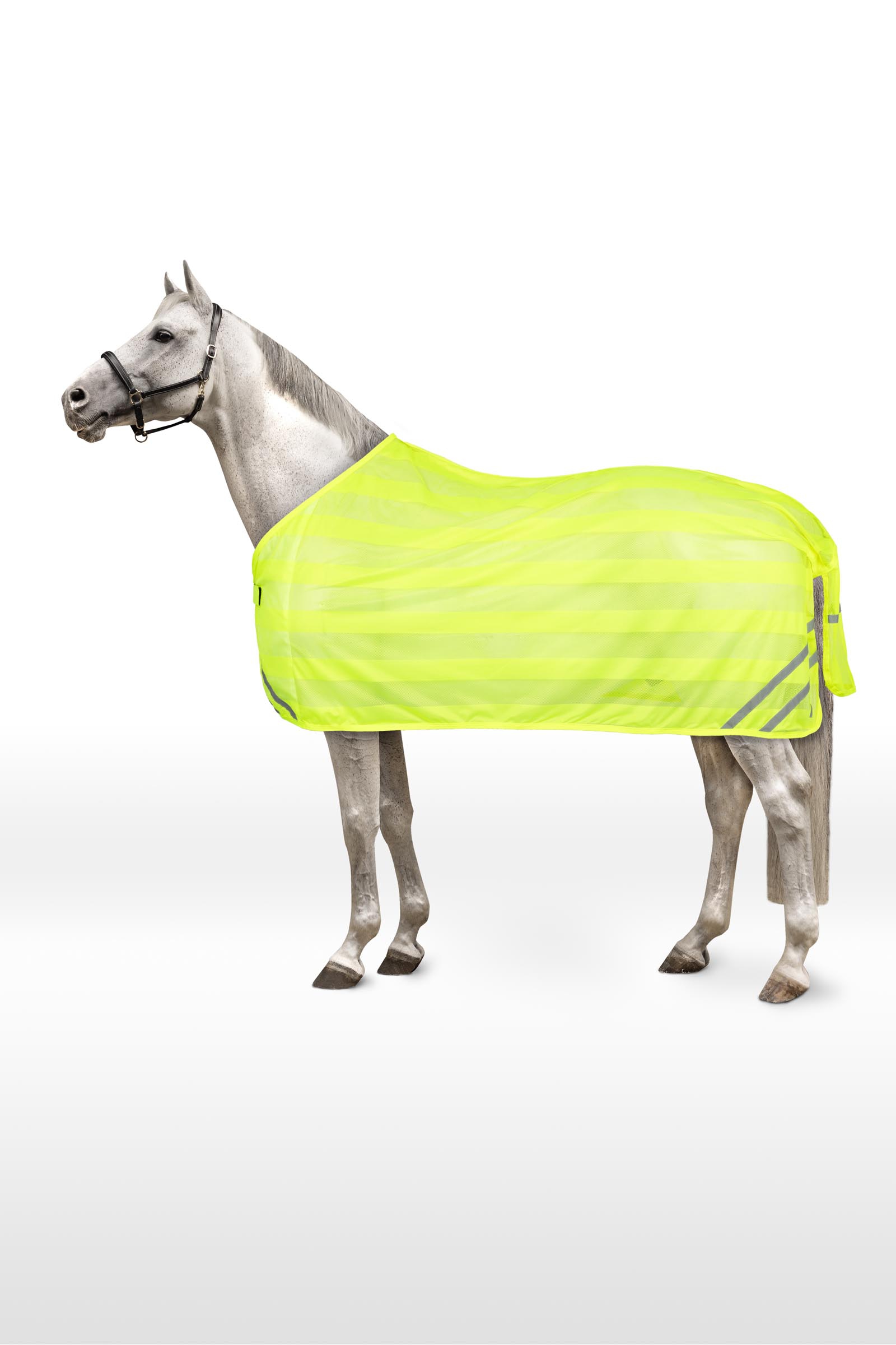 Horze Reflektierende Netzdecke