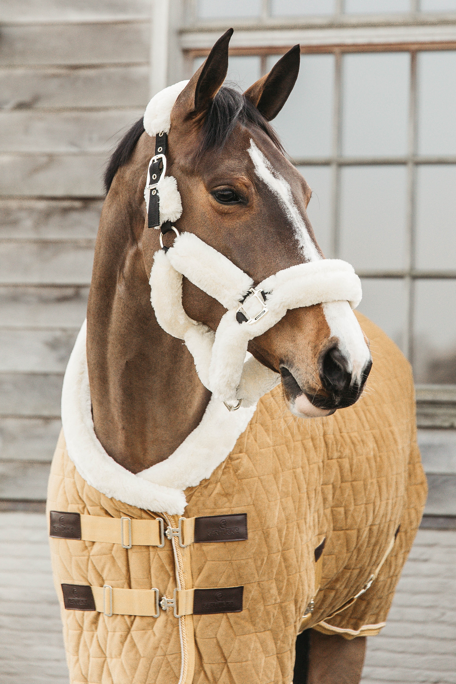 Kentucky Horsewear Velvet Pony Turnierdecke, 160g
