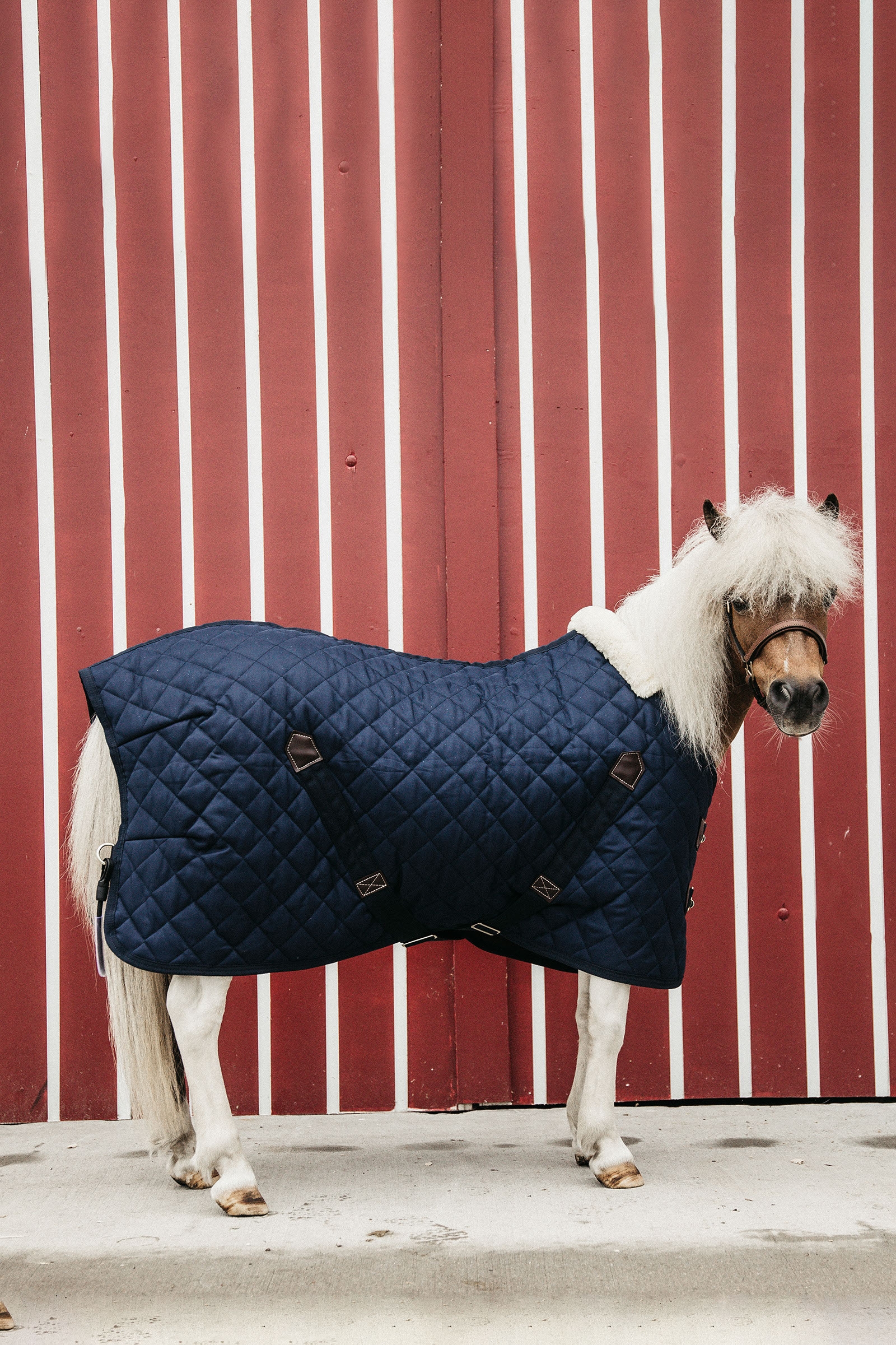 Kentucky Horsewear Tiny Pony Stalldecke, 400g