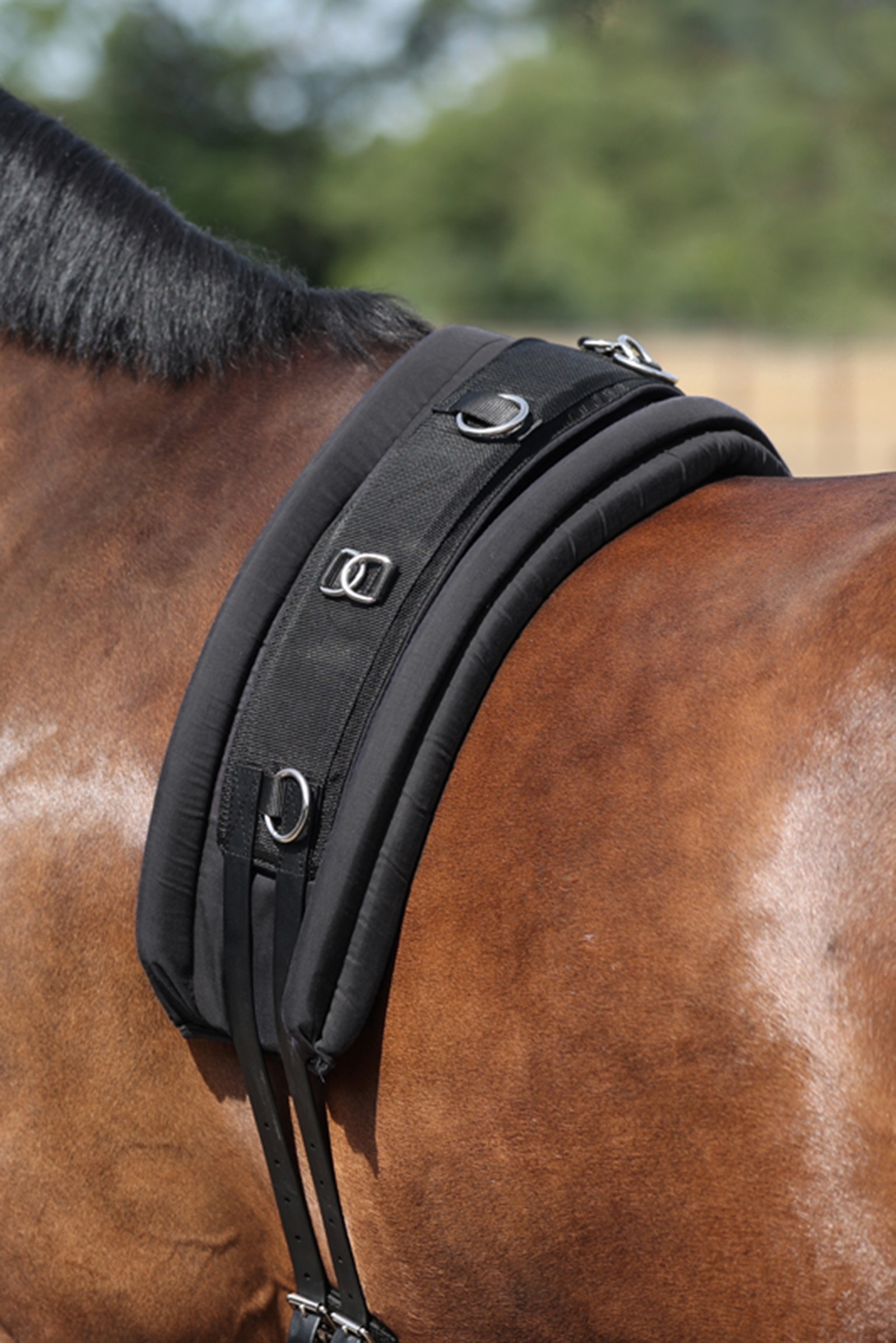 Kavalkade Longiergurtunterlage