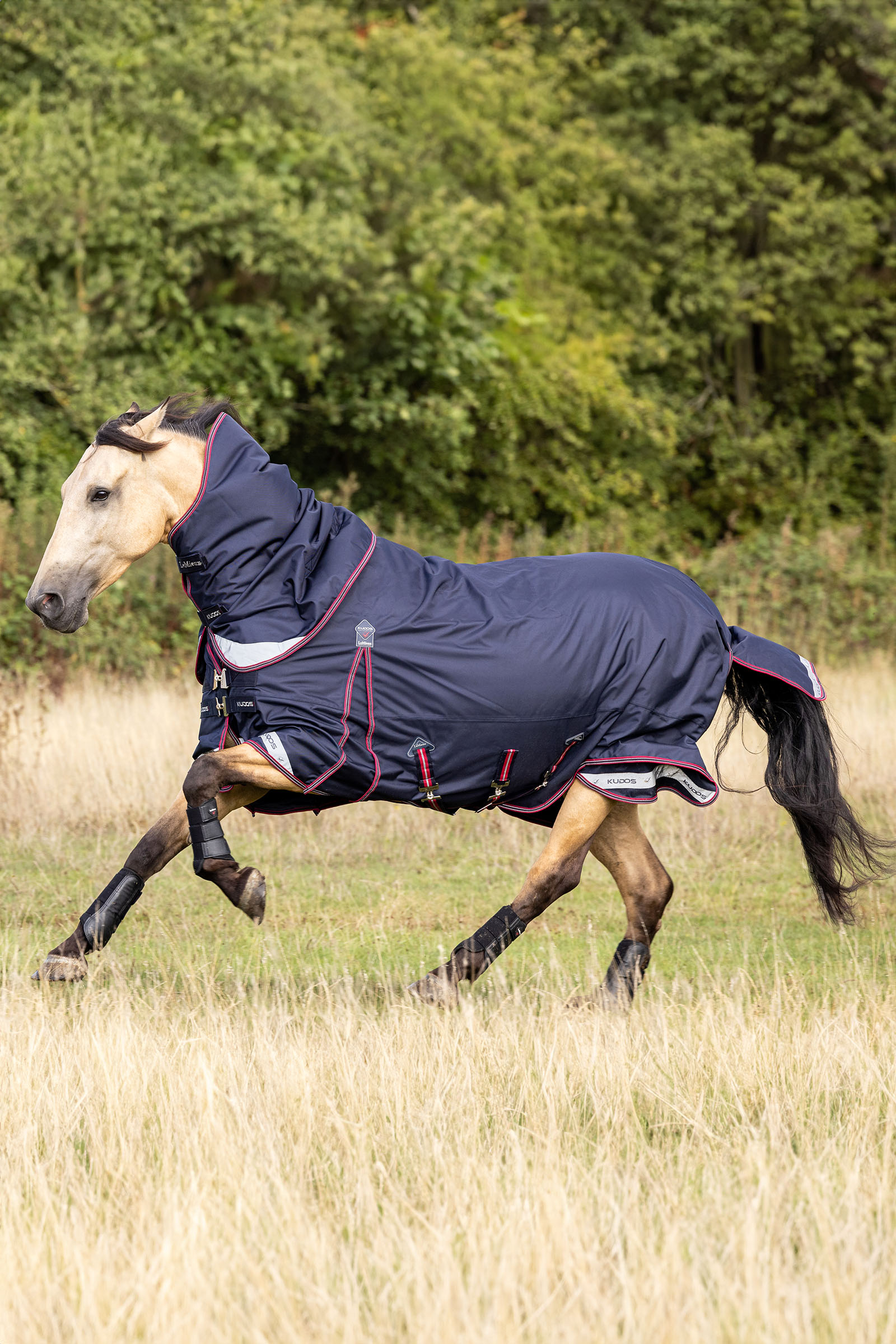 LeMieux Kudos leichte Outdoordecke, 100 g