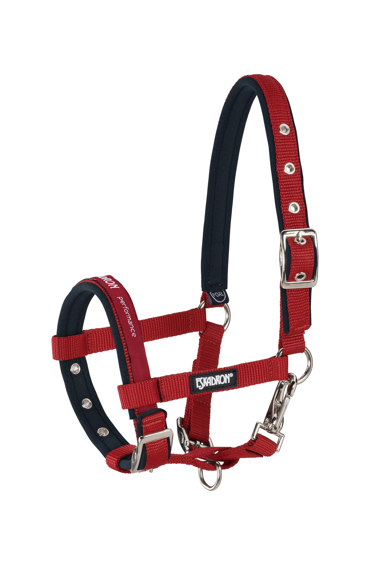Chilired Eskadron Foal Halter