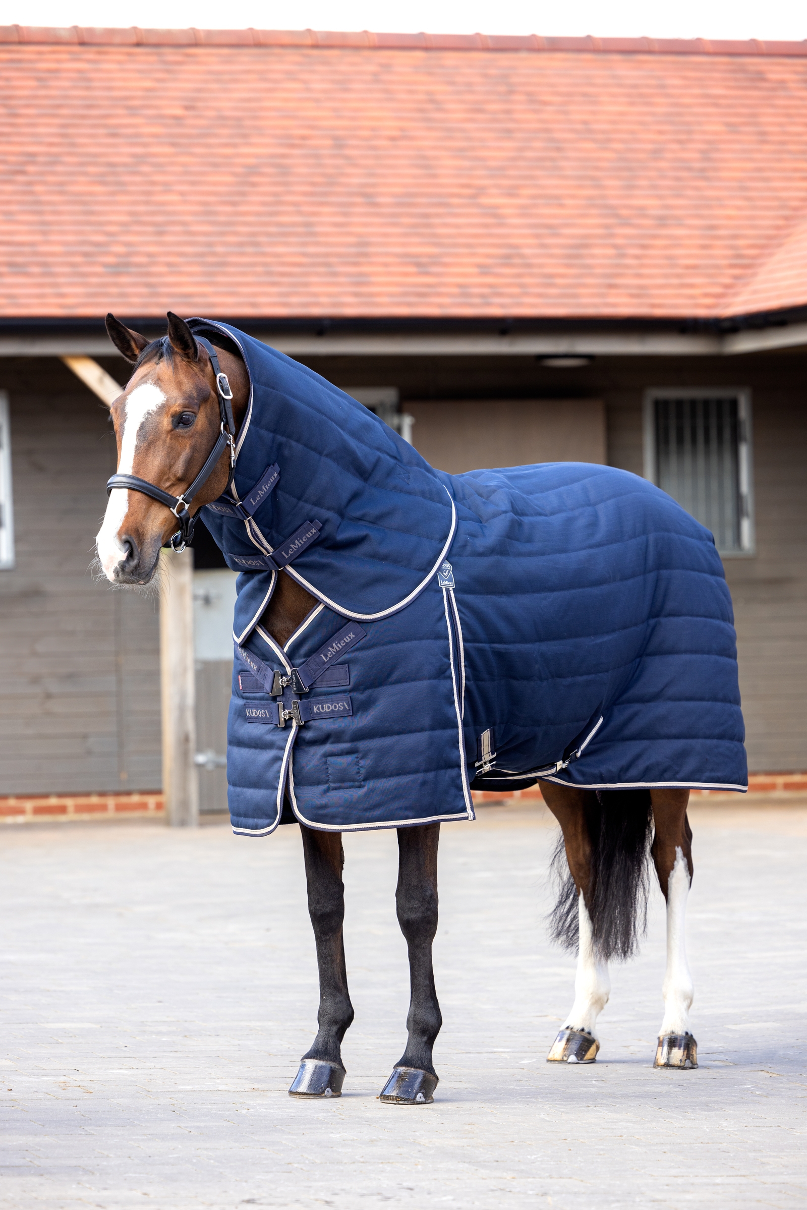 LeMieux Kudos Stable Rug, 100g
