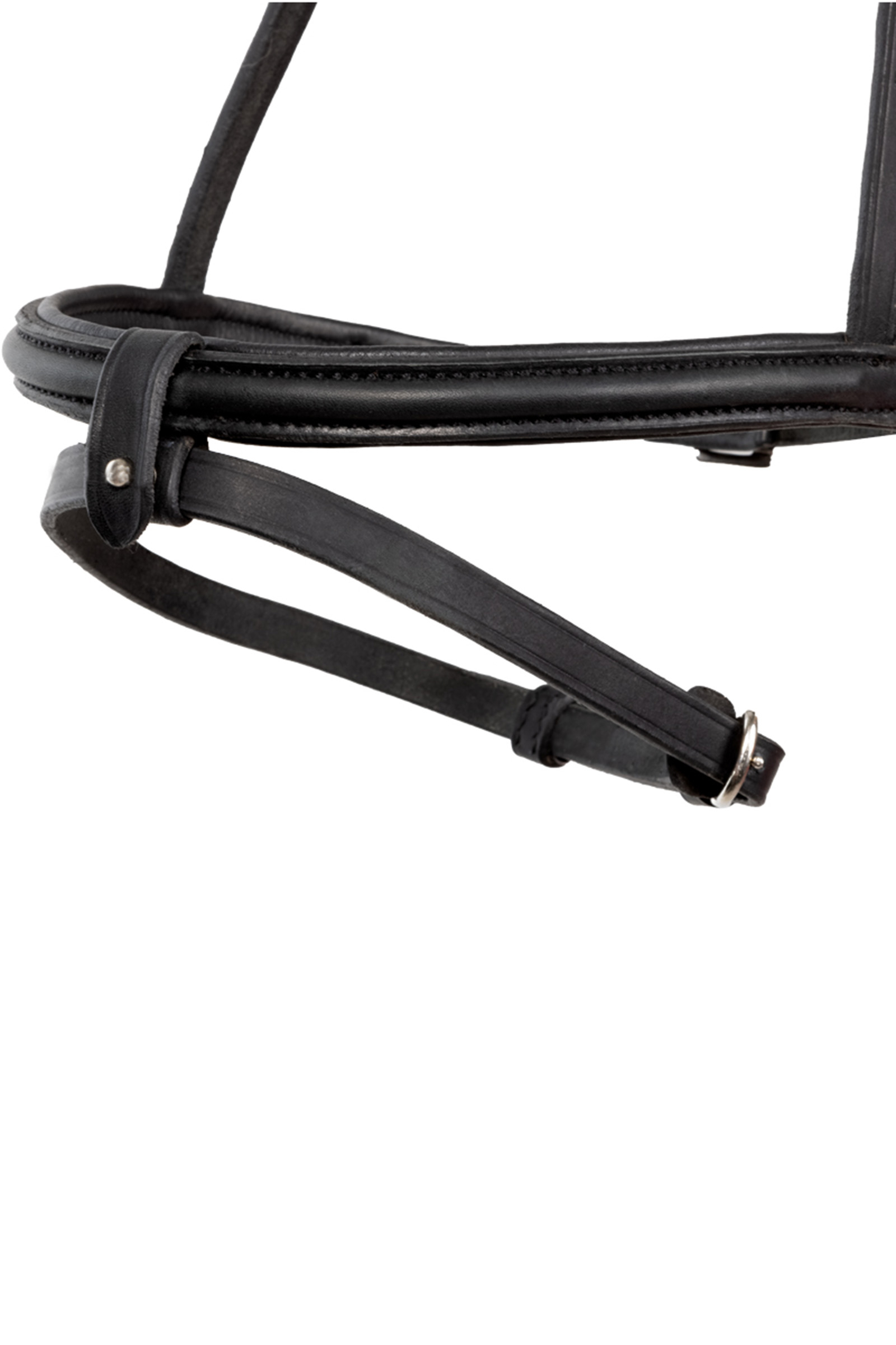 Kavalkade Svartur Englisches Reithalfter f&uuml;r Islandtrense Kjartan