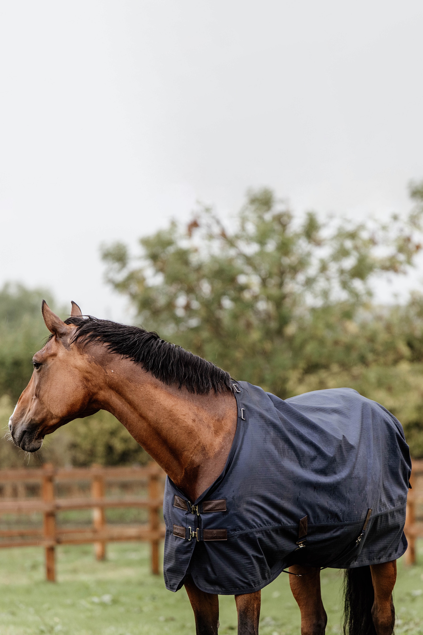 Kentucky Horsewear All Weather Weidedecke,  300g
