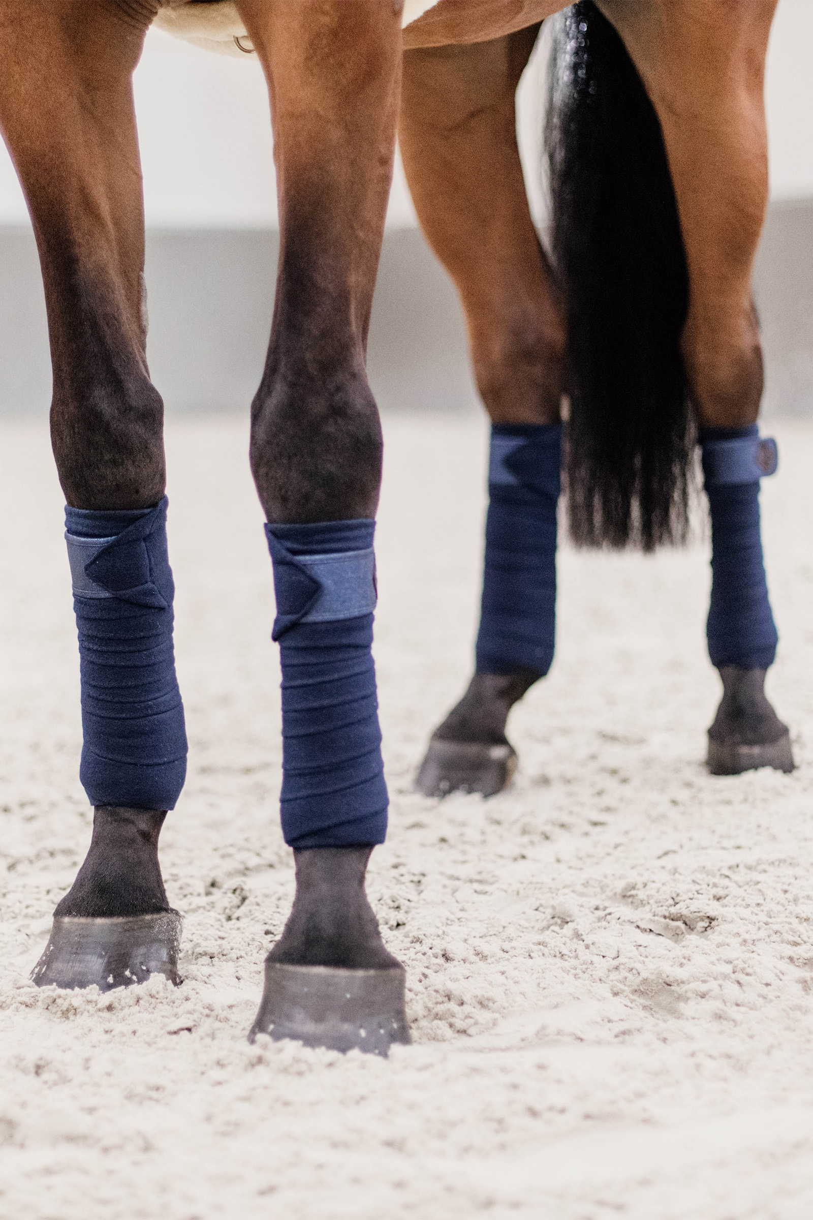 Kentucky Horsewear Glitter Polar Fleece Bandagen