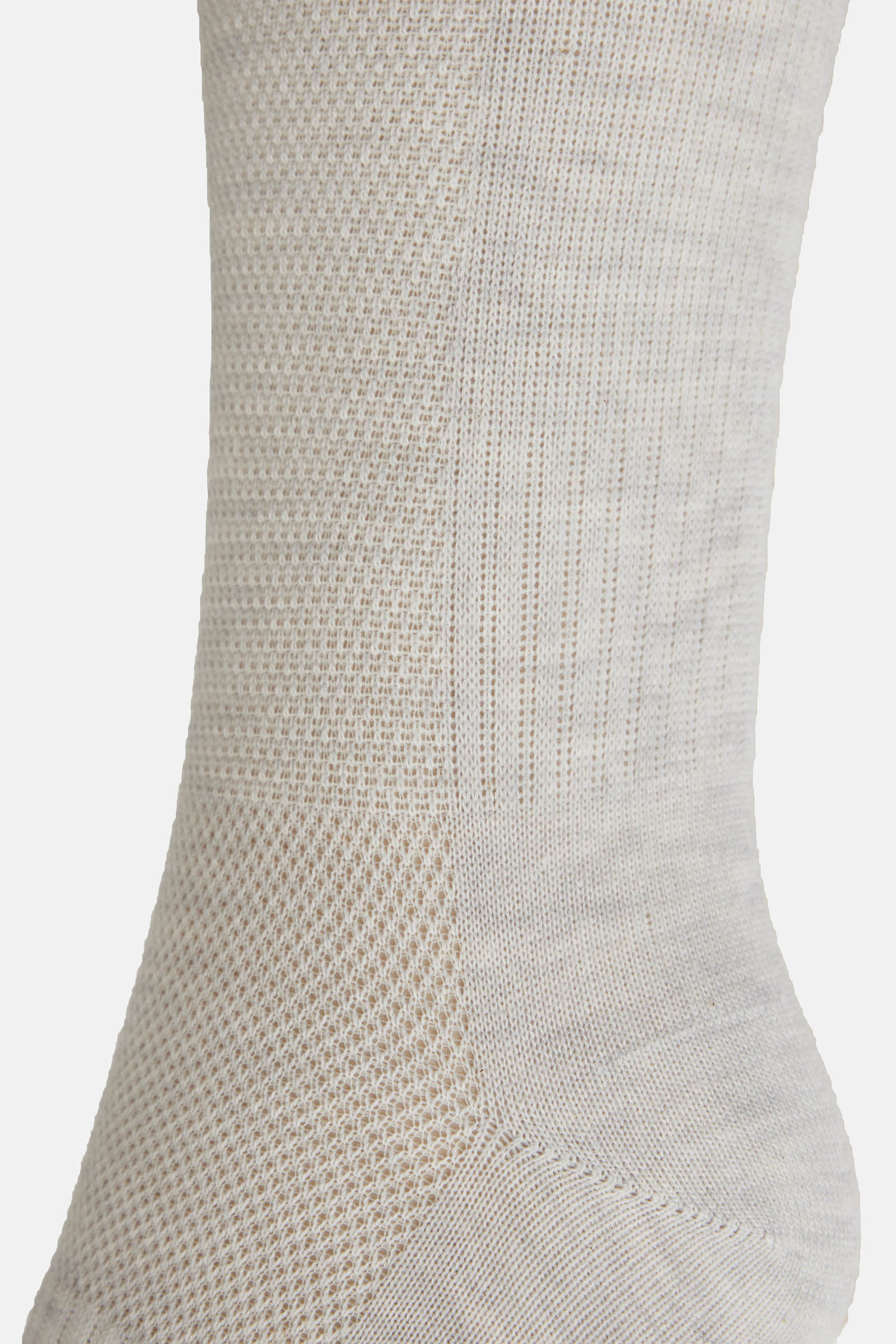 B Vertigo Aria Sportsocken f&uuml;rs Reiten