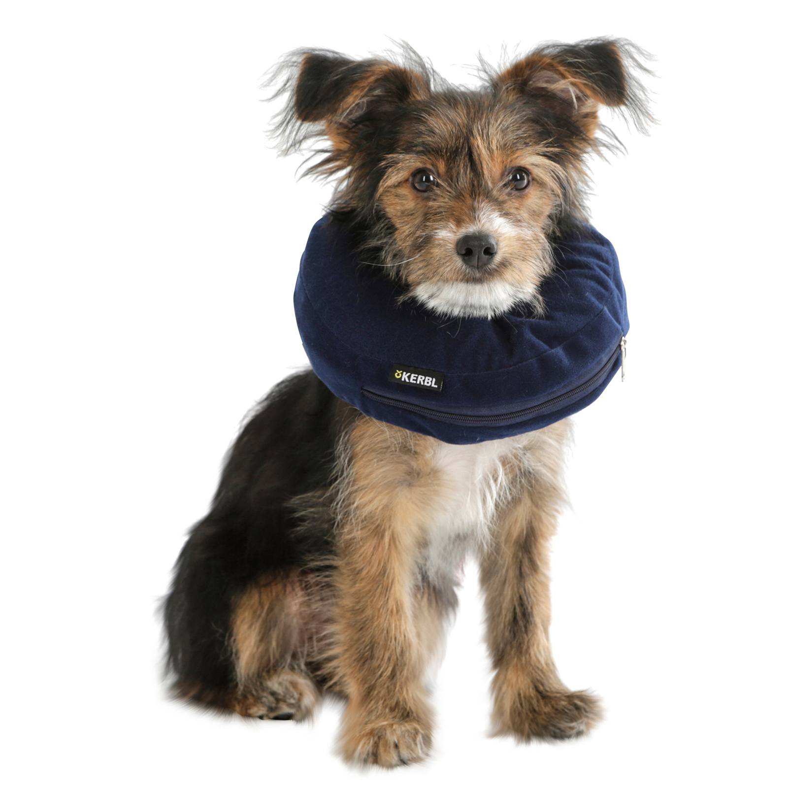 Kerbl Hundehalskrause aufblasbar, 25-35cm