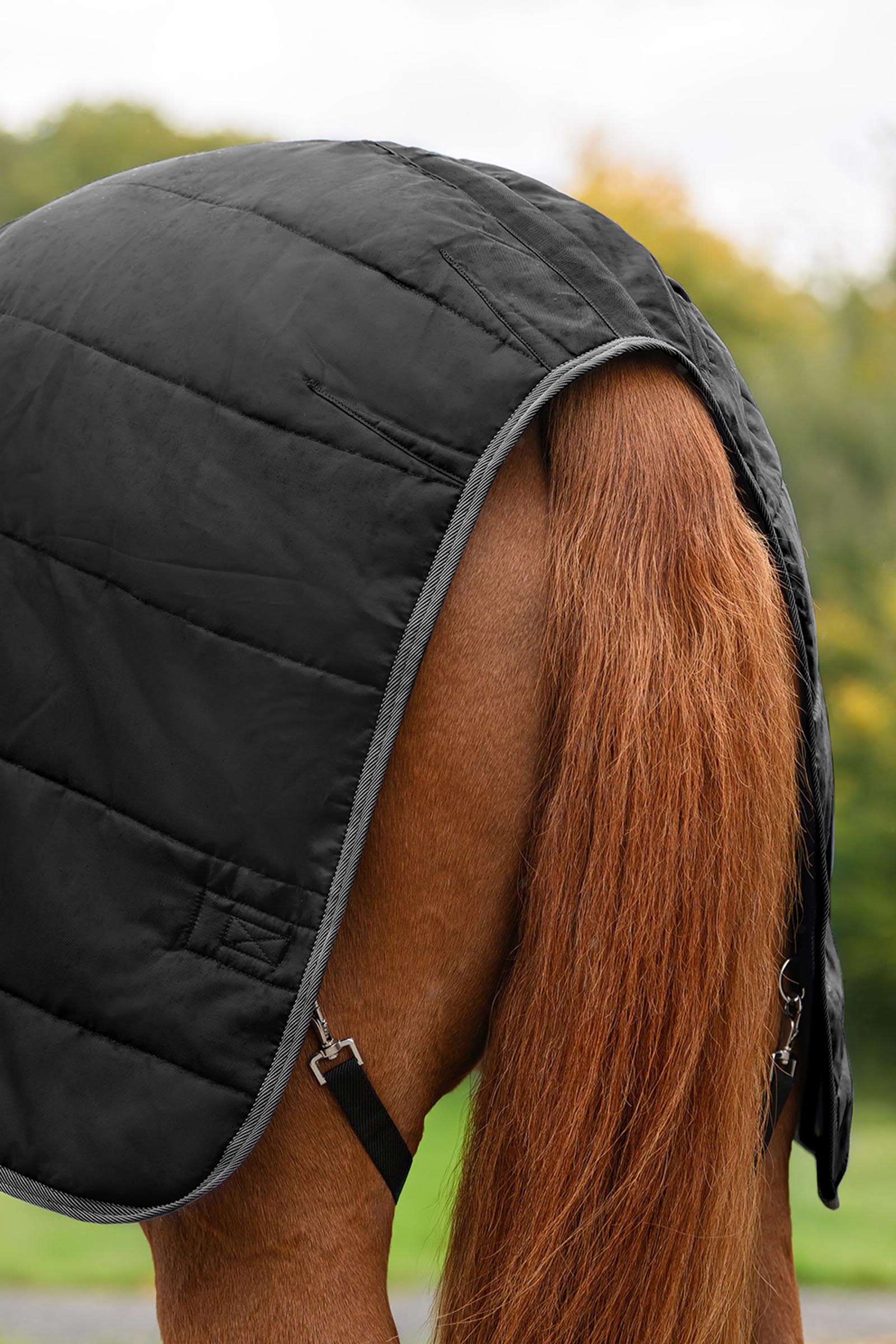 Waldhausen ECONOMIC Stalldecke, 100g