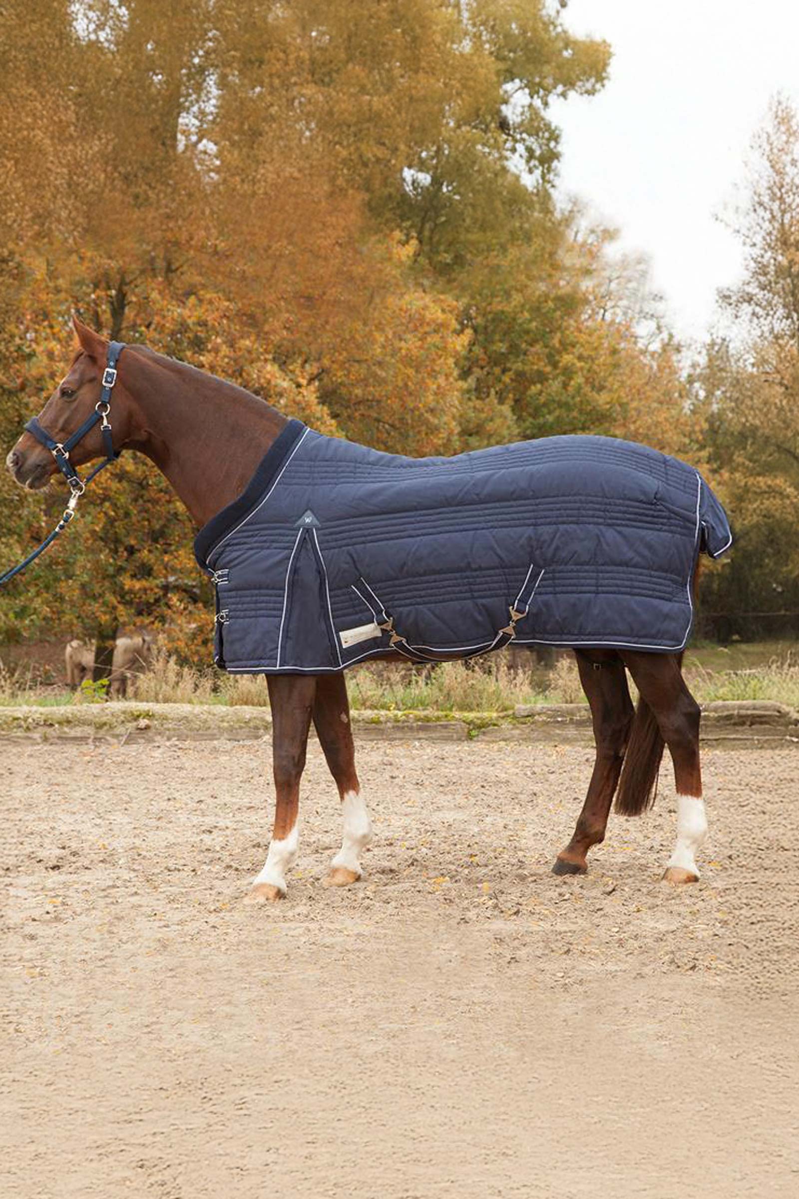 Waldhausen Stable Rug Comfort Line 100g