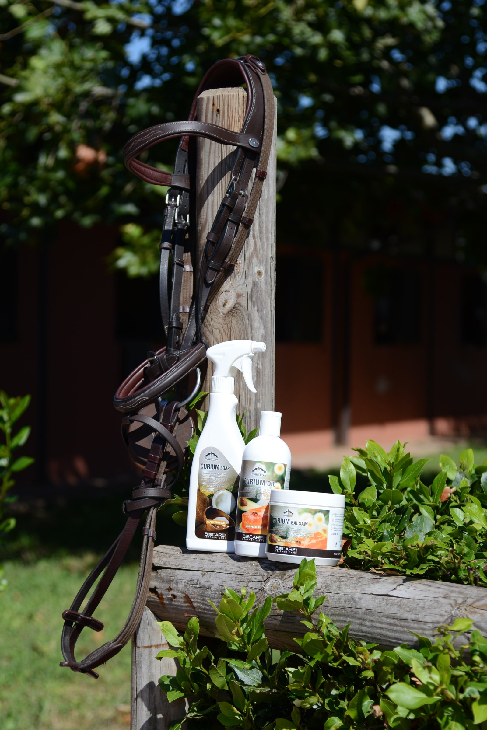 Veredus Curium Seife, 3L