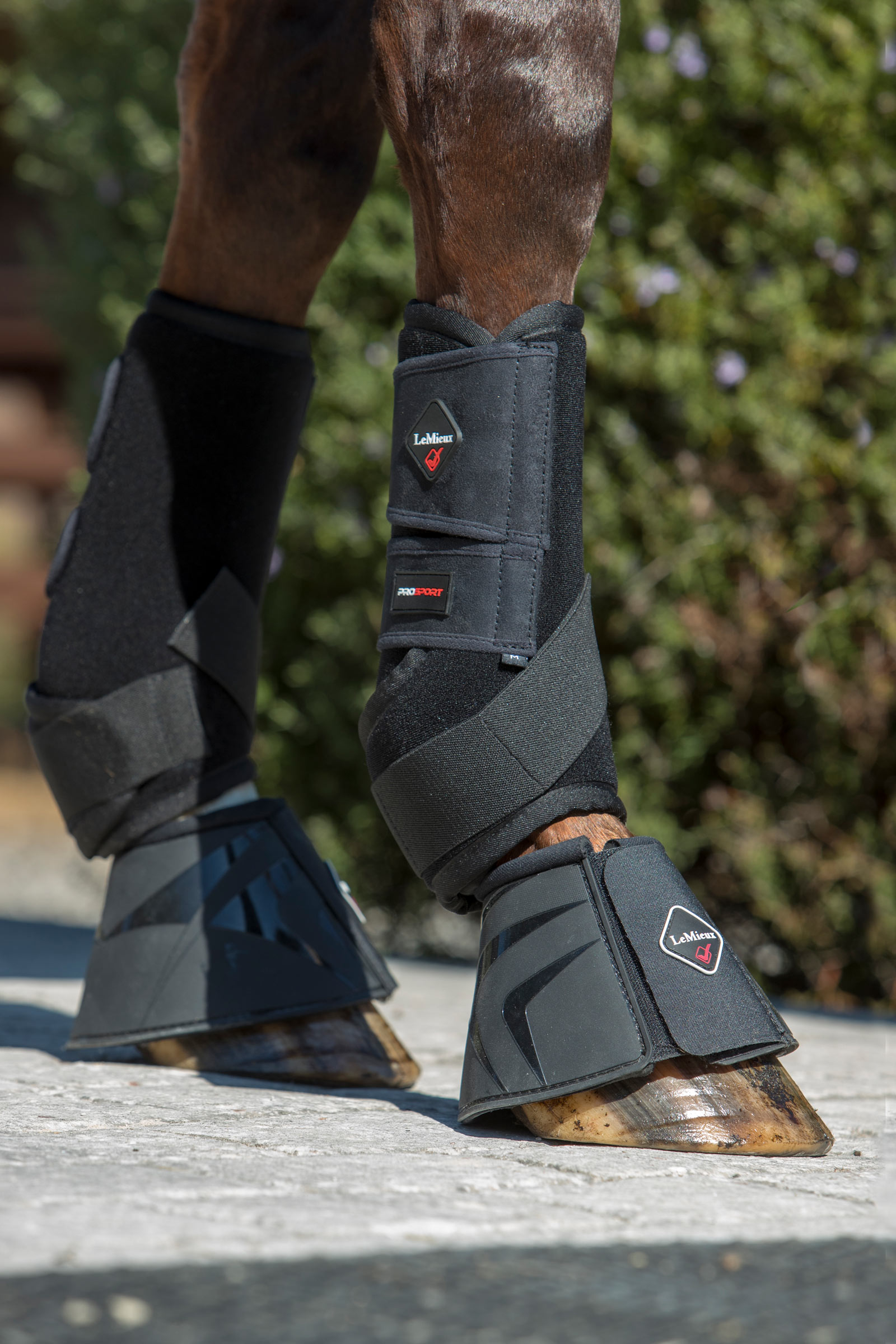 LeMieux Ultra Support Gamaschen