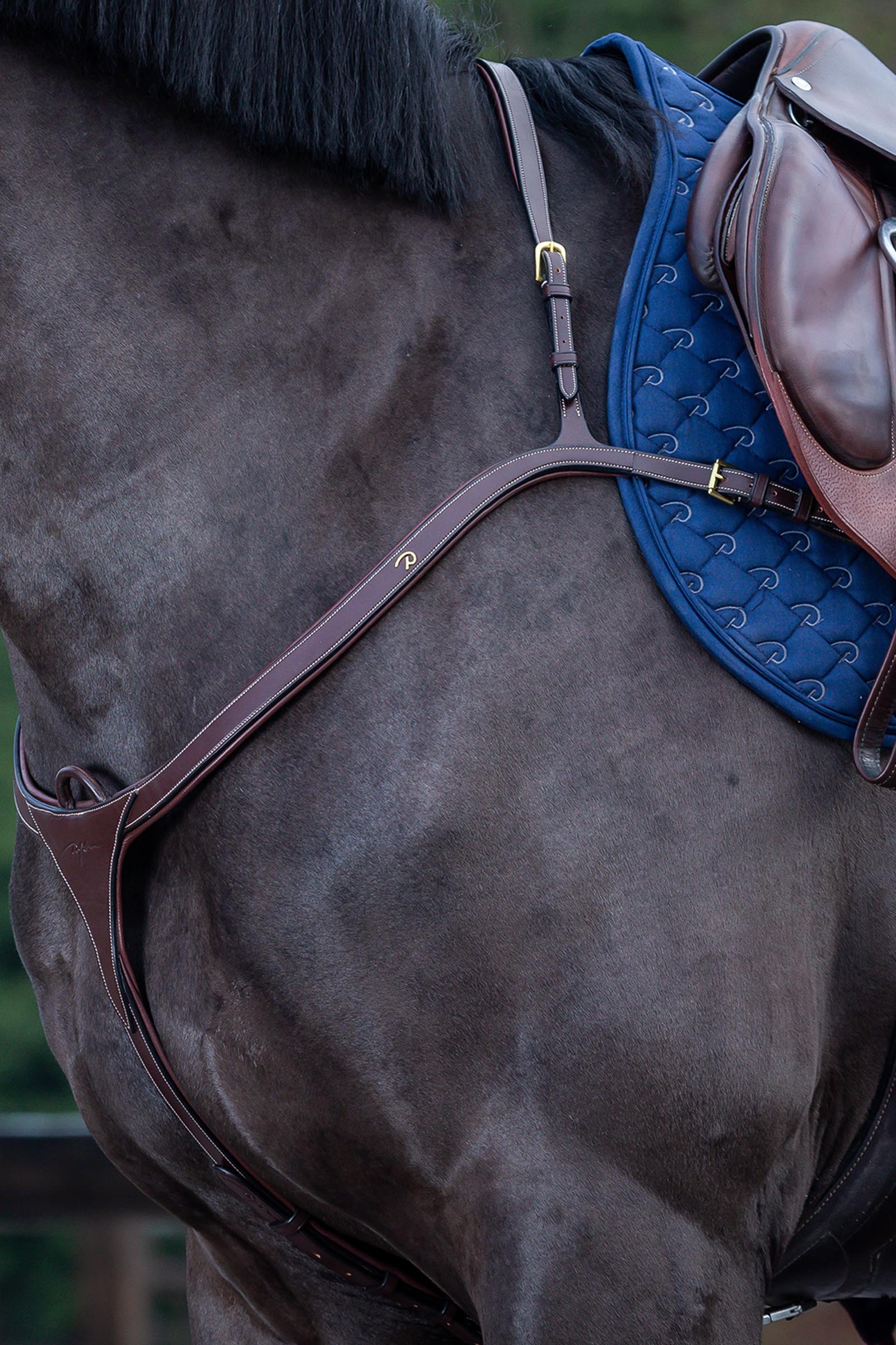 Brown Dy'on D Collection Vorderzeug mit langer Brücke