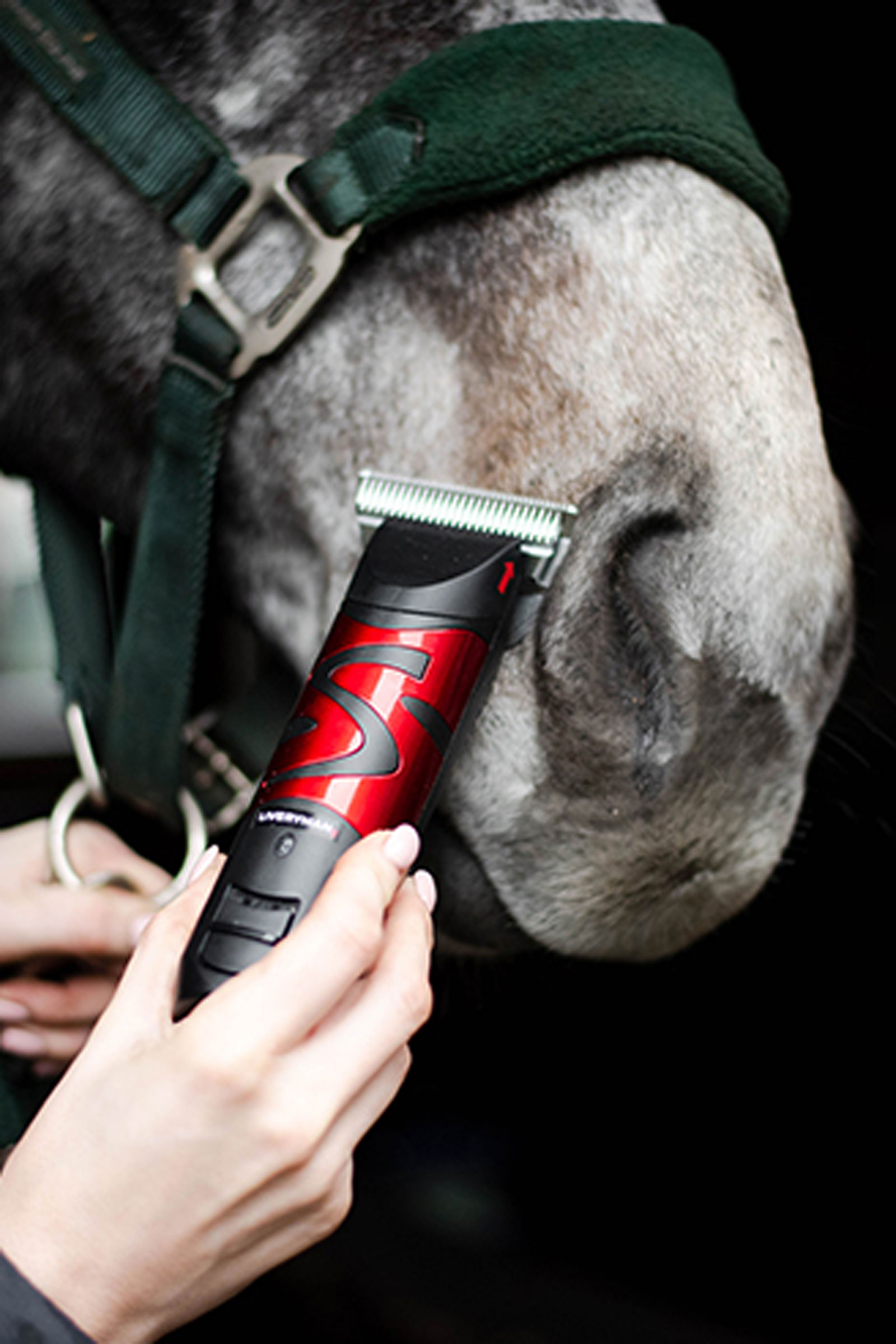 Liveryman Harmony Plus mit breiter, feiner Klinge, 2.4 mm