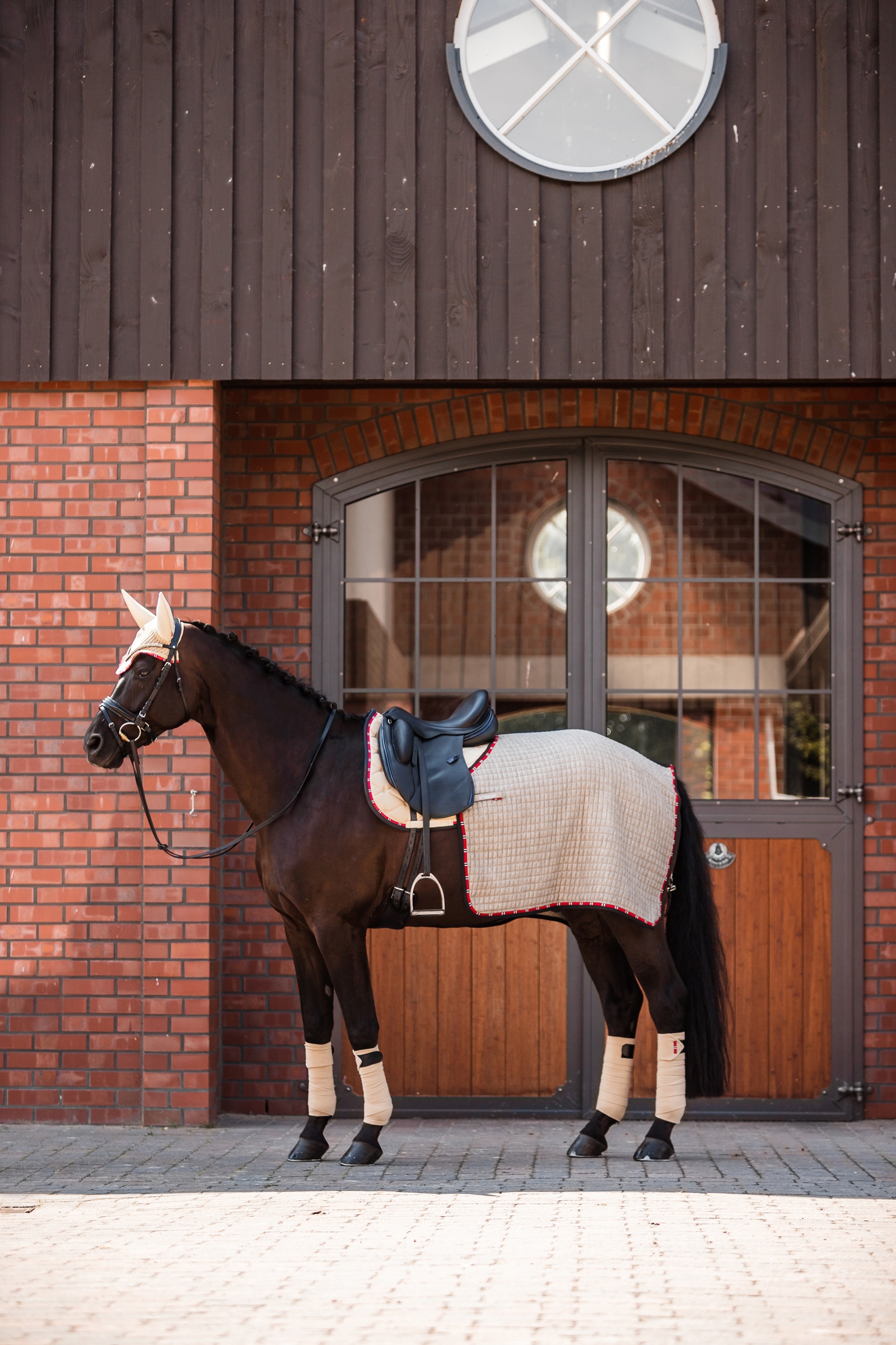 B Vertigo Amory Nierendecke