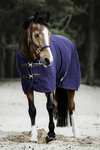 Kentucky Horsewear Fleece Abschwitzdecke