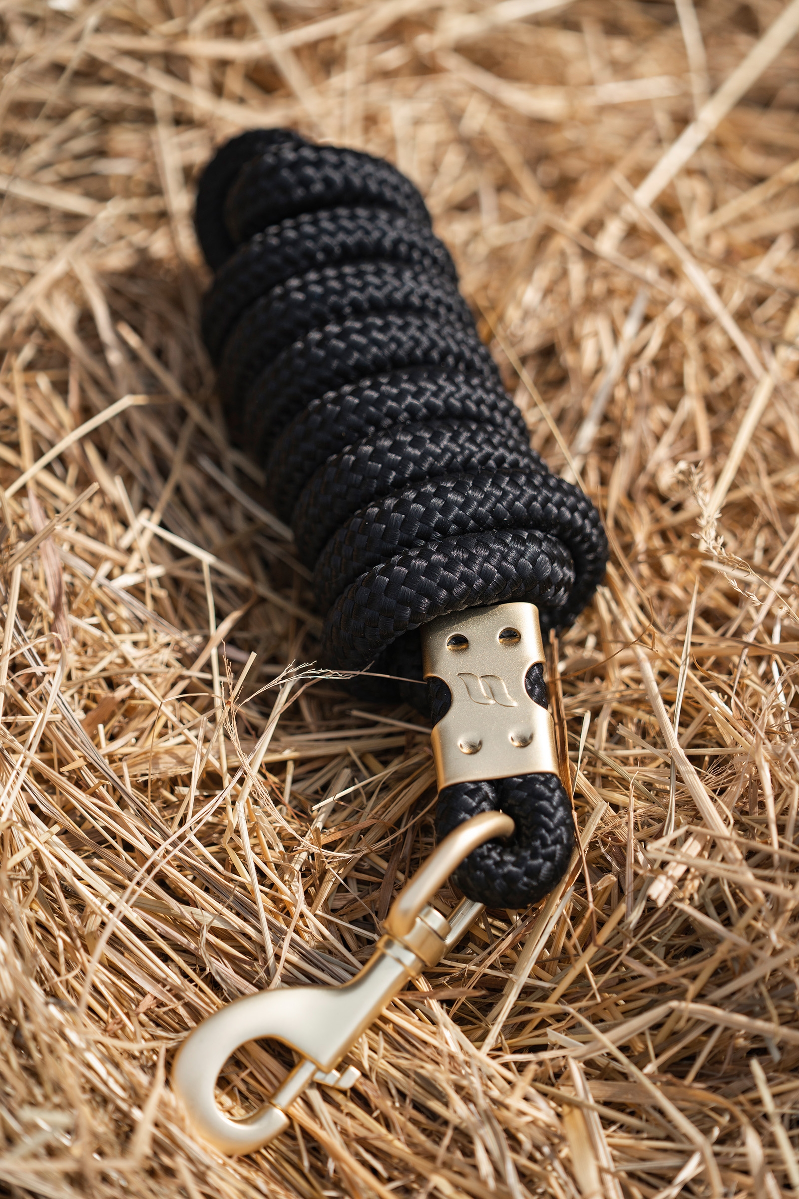 Back on Track Ace F&uuml;hrstrick