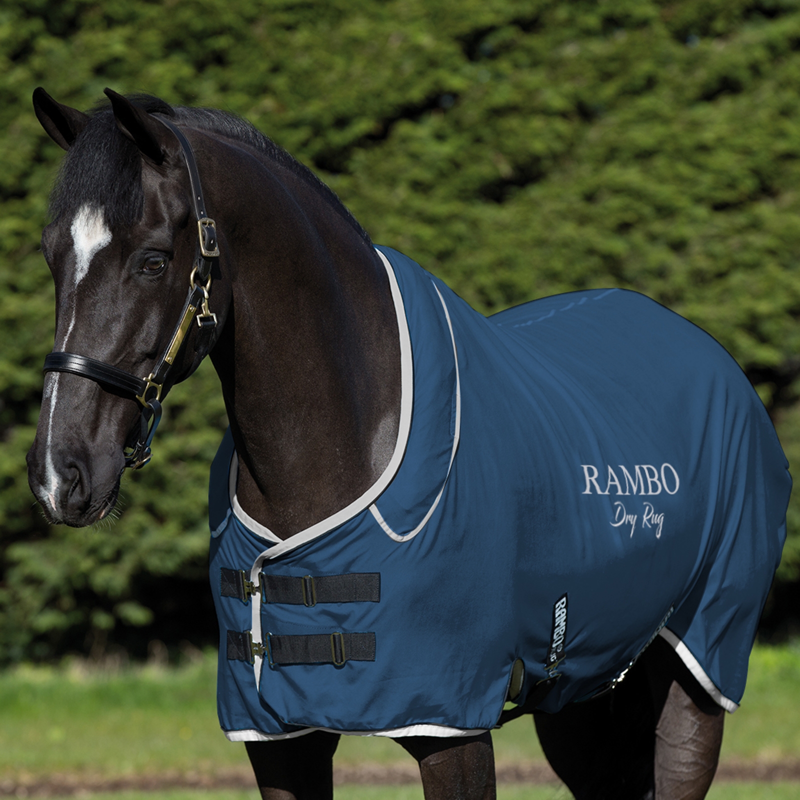 Horseware Rambo Dry Rug Supreme Abschwitzdecke