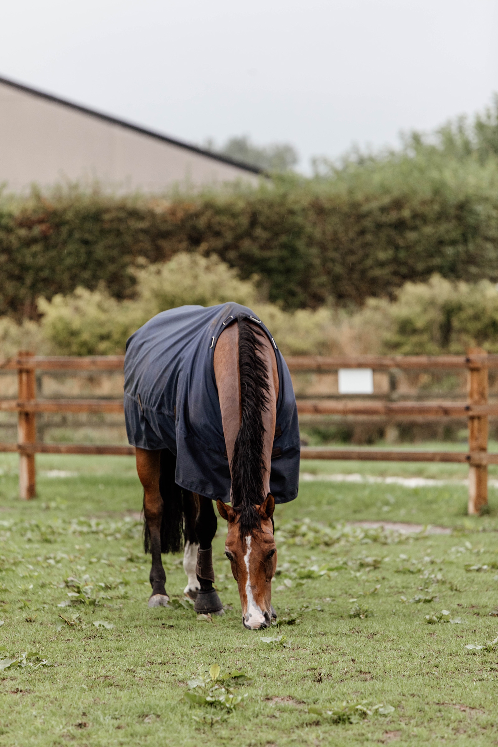 Kentucky Horsewear All Weather Weidedecke,  300g